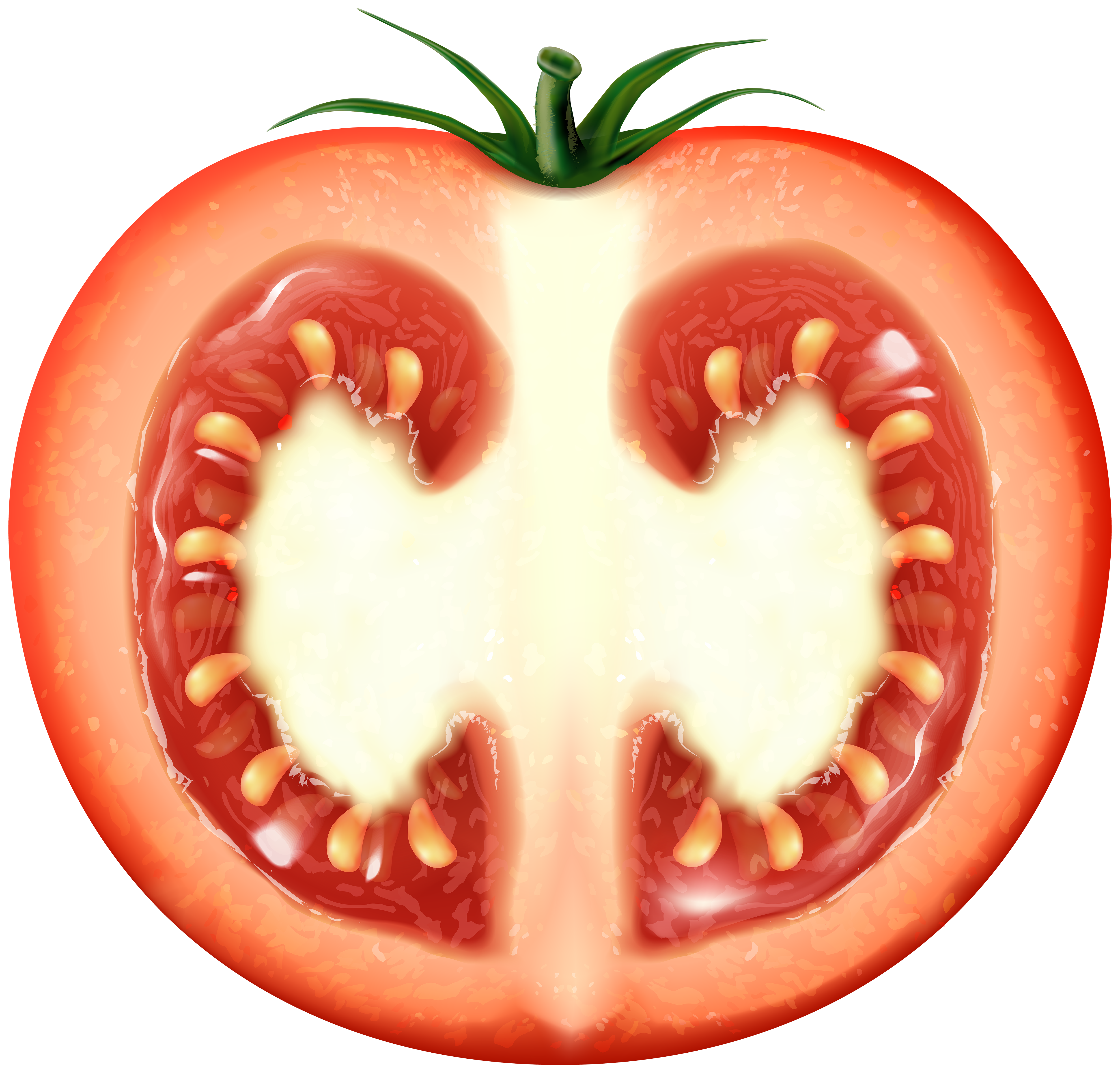 Half Tomato Transparent Clip Art Image​ | Gallery Yopriceville -  High-Quality Free Images and Transparent PNG Clipart