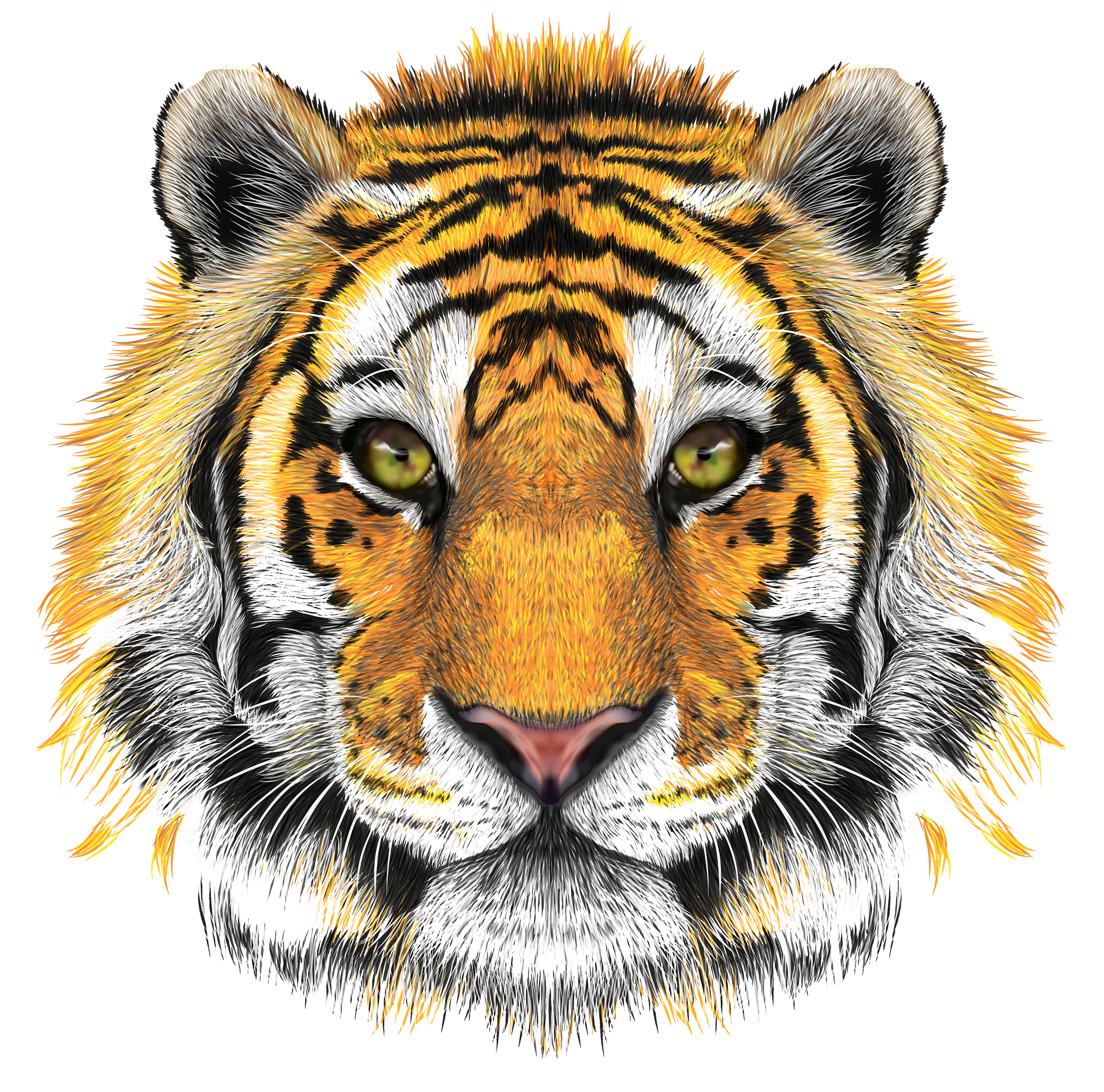 tiger.png