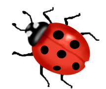 Ladybug PNG Clip Art​  Gallery Yopriceville - High-Quality Free