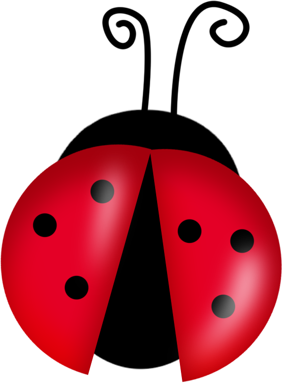 Lady Bug Transparent PNG Clip Art Image​  Gallery Yopriceville -  High-Quality Free Images and Transparent PNG Clipart