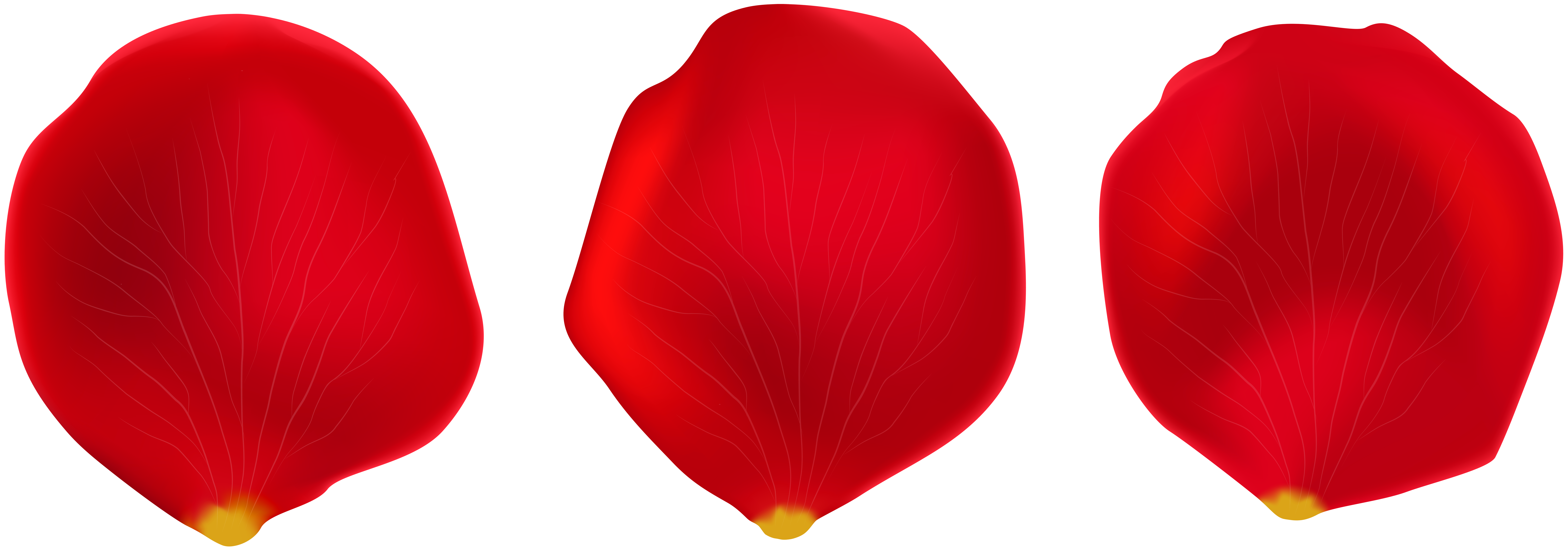 petals clipart