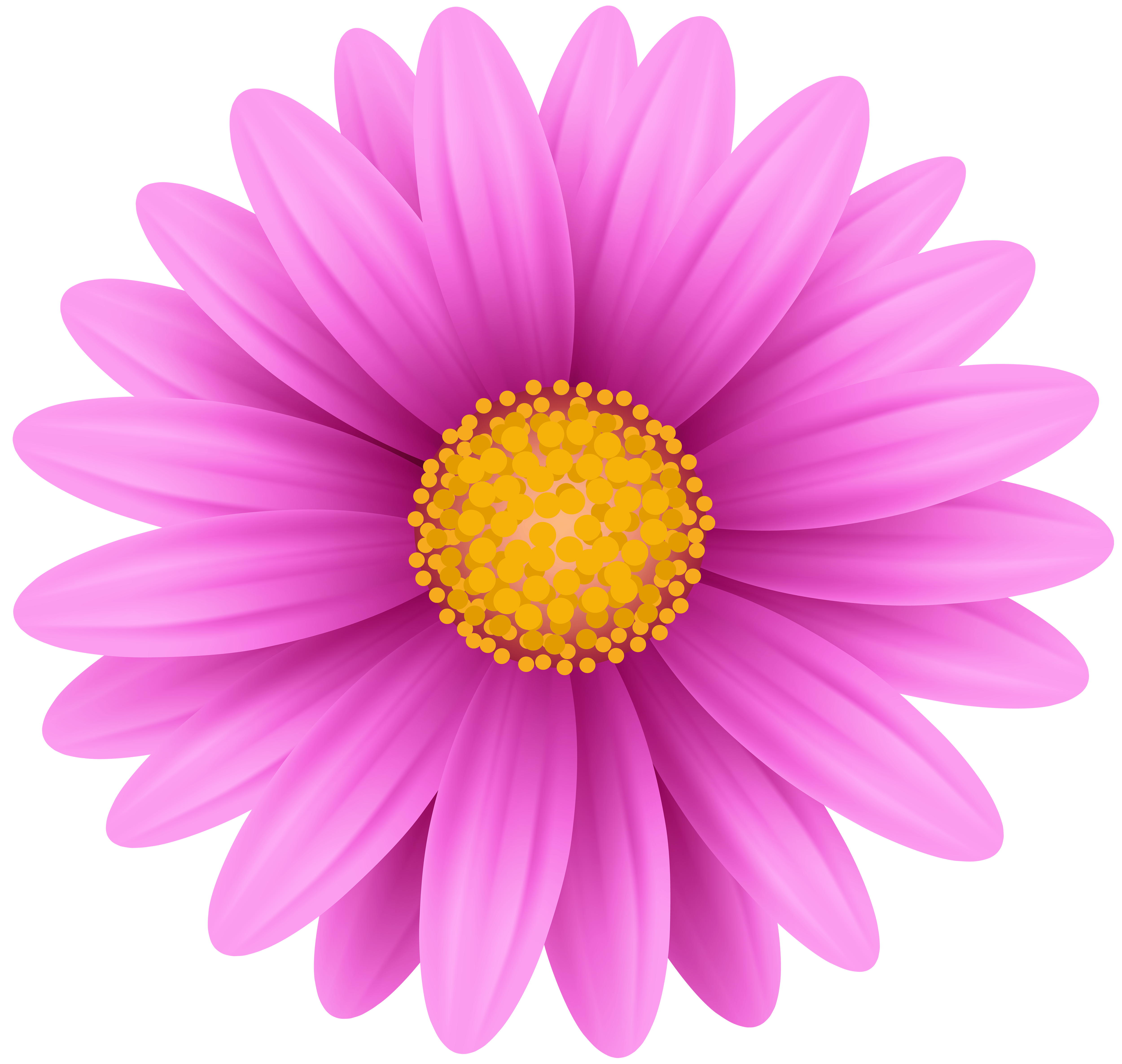 pink flower images