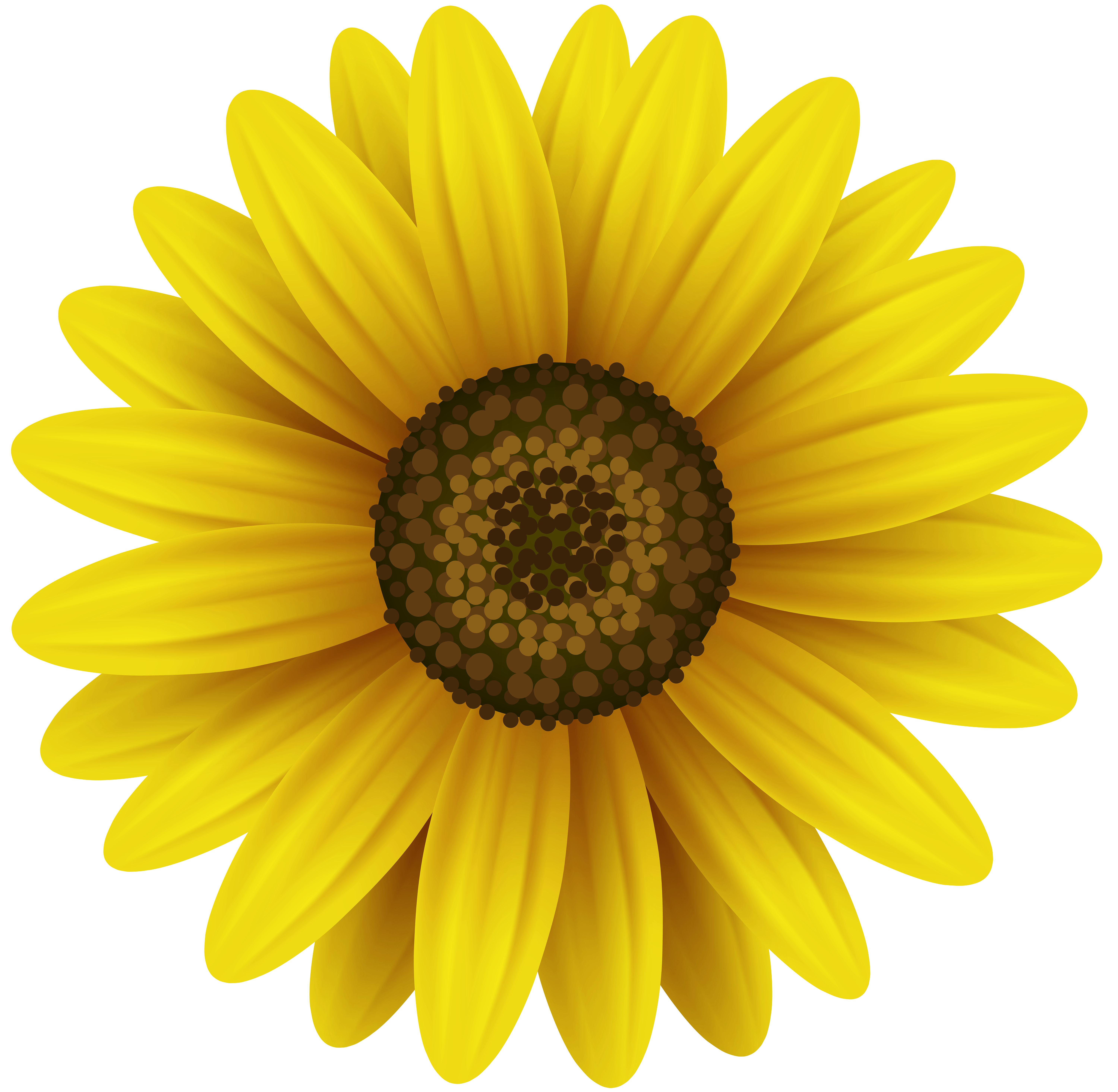 yellow flowers clipart