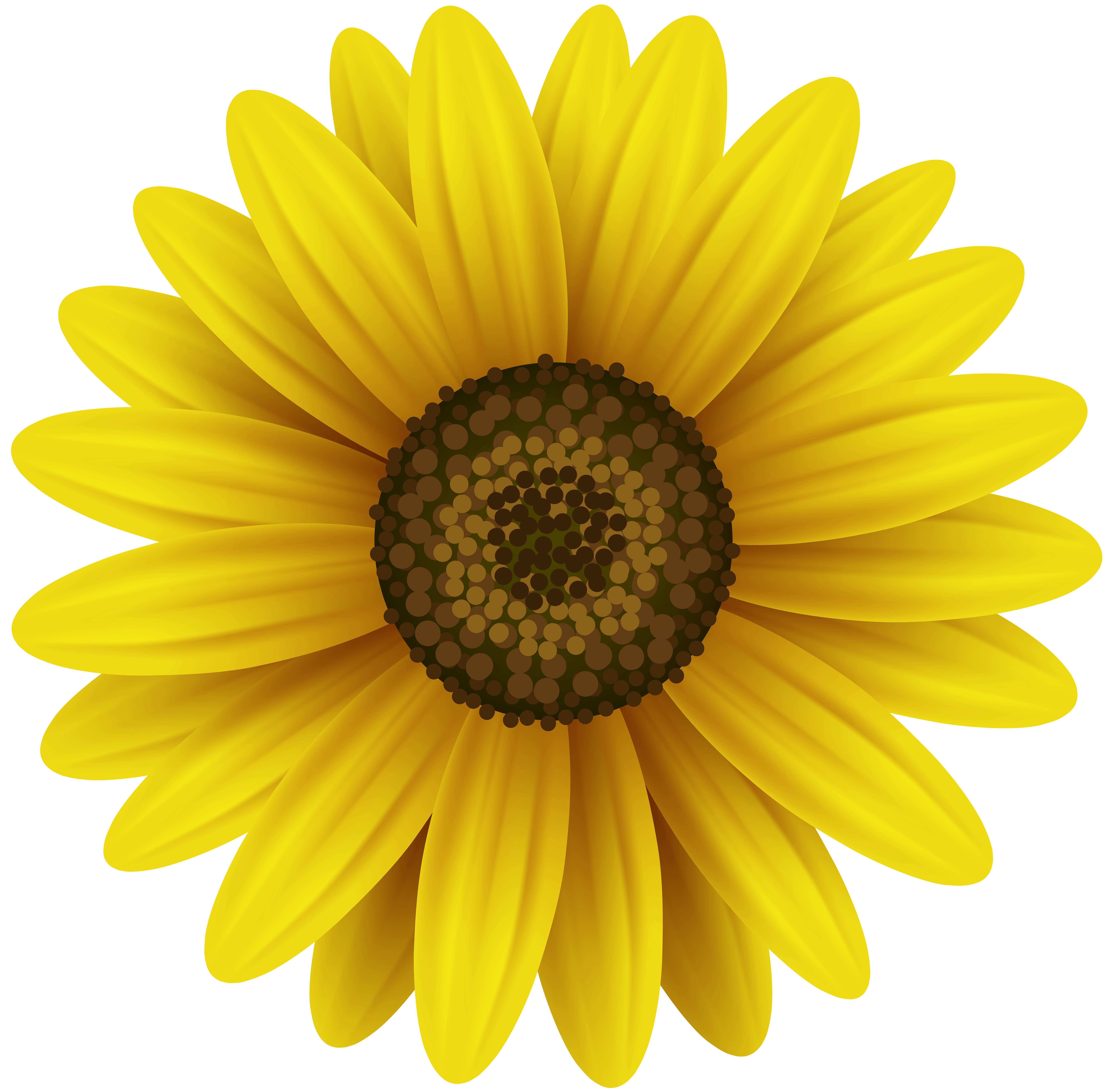 clip art yellow flower