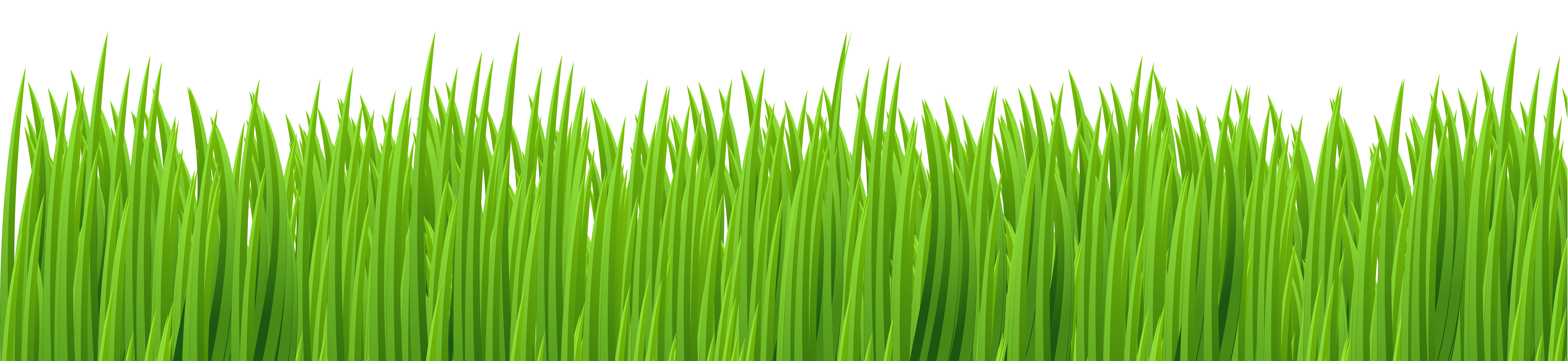 spring grass clip art