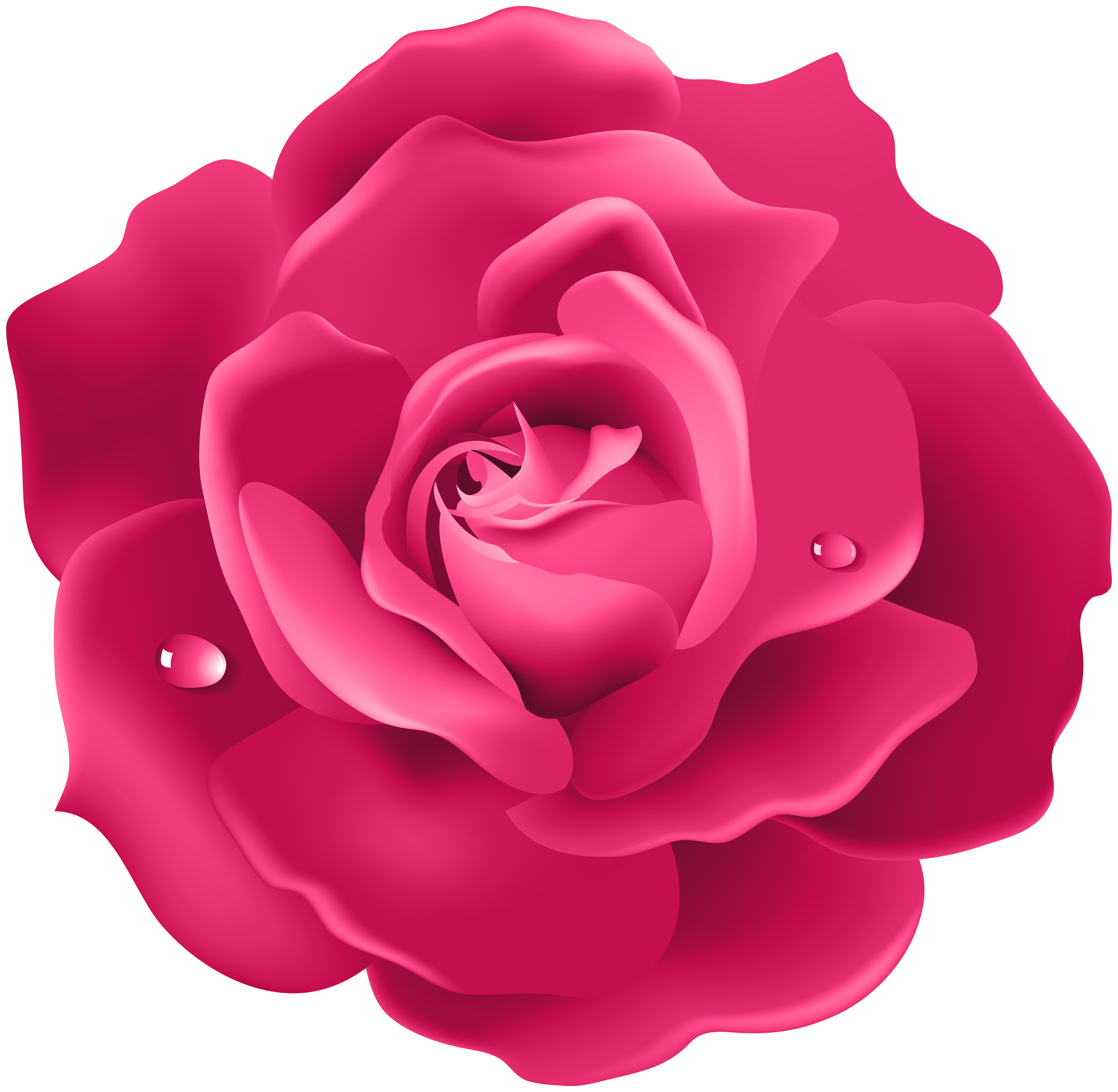 Pink Rose Png Image Gallery Yopriceville High Quality Images And Transparent Png Free Clipart