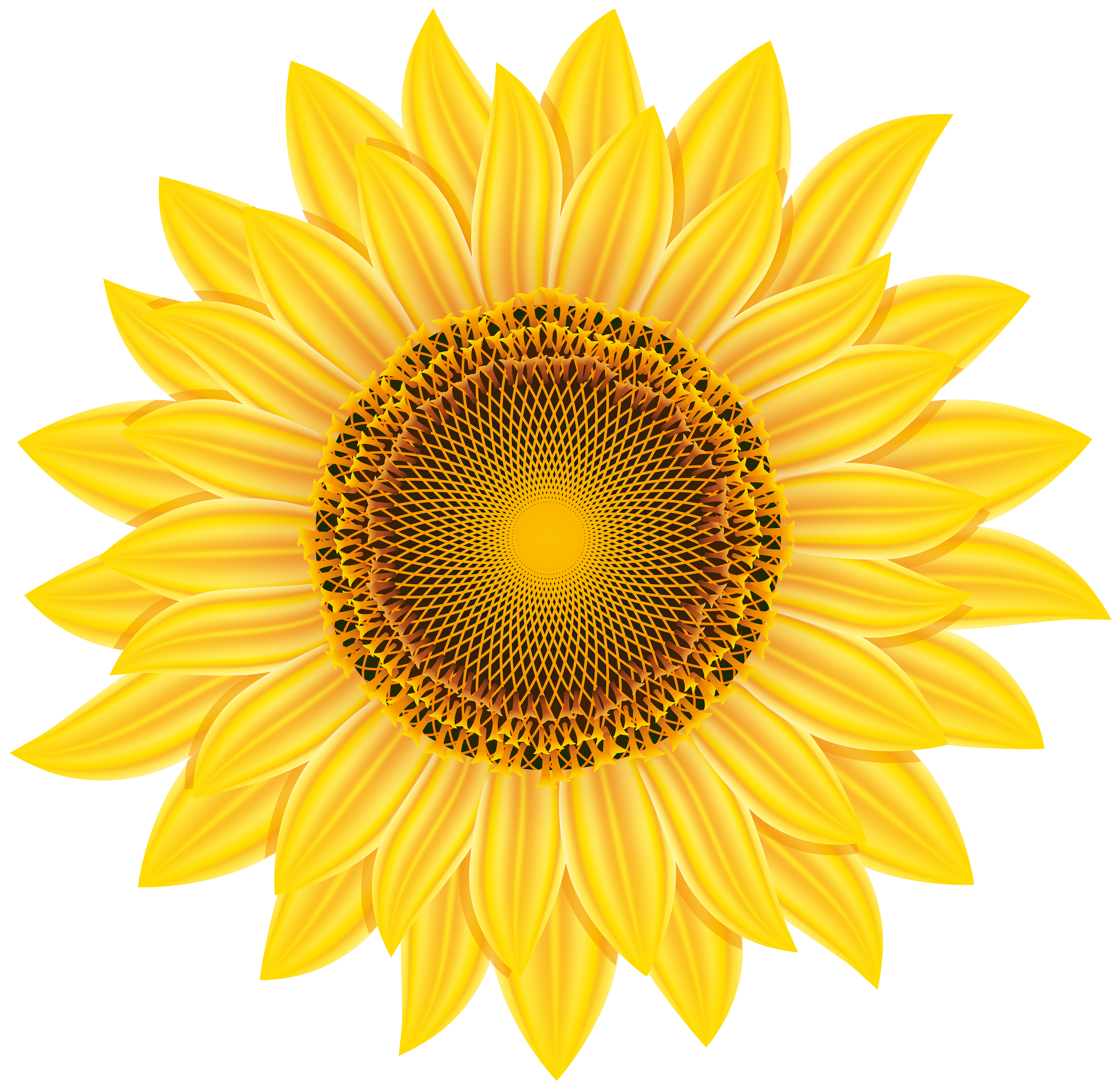 Free Free 311 Clipart Sunflower Heart SVG PNG EPS DXF File