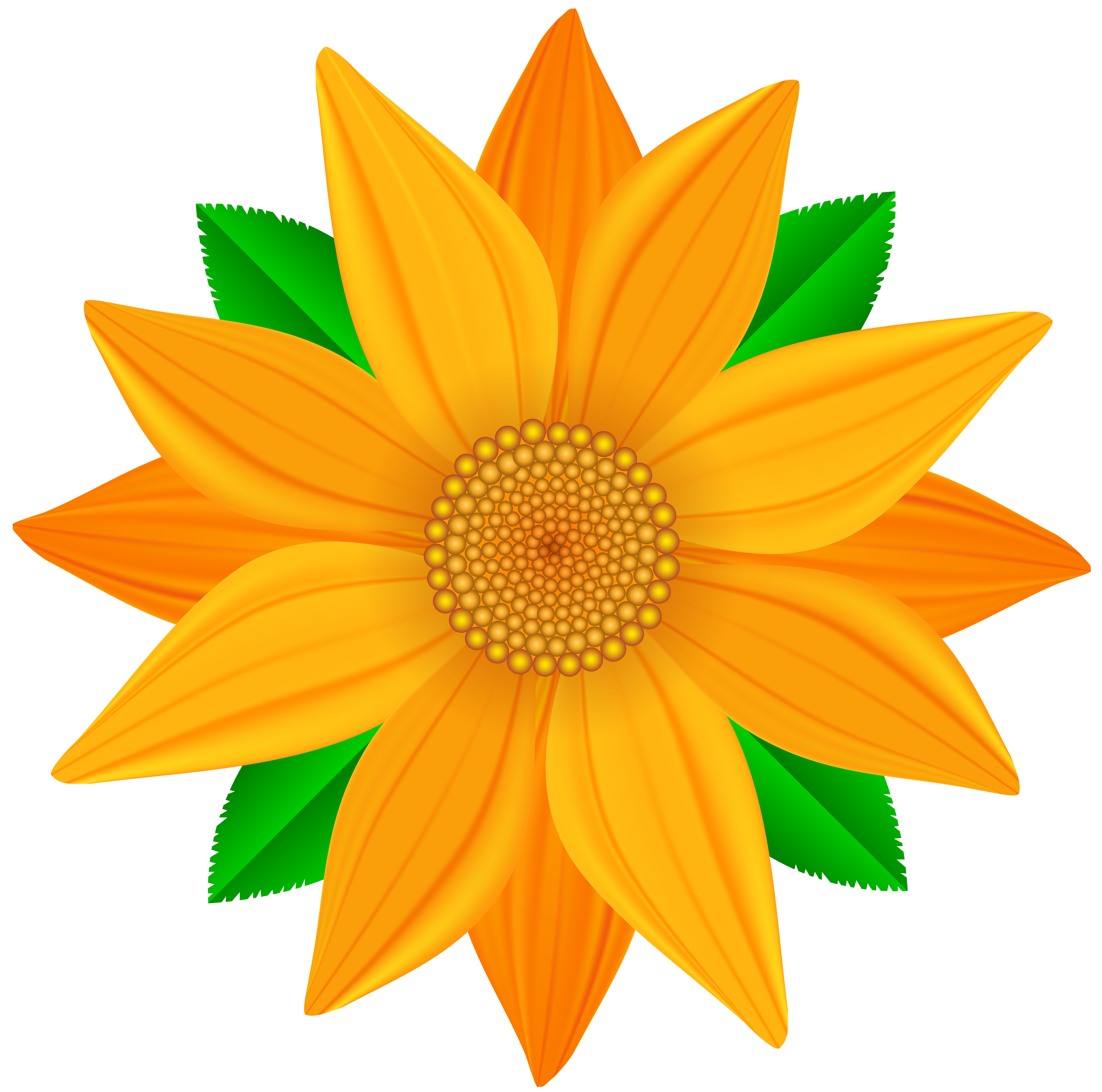 clip art orange flower