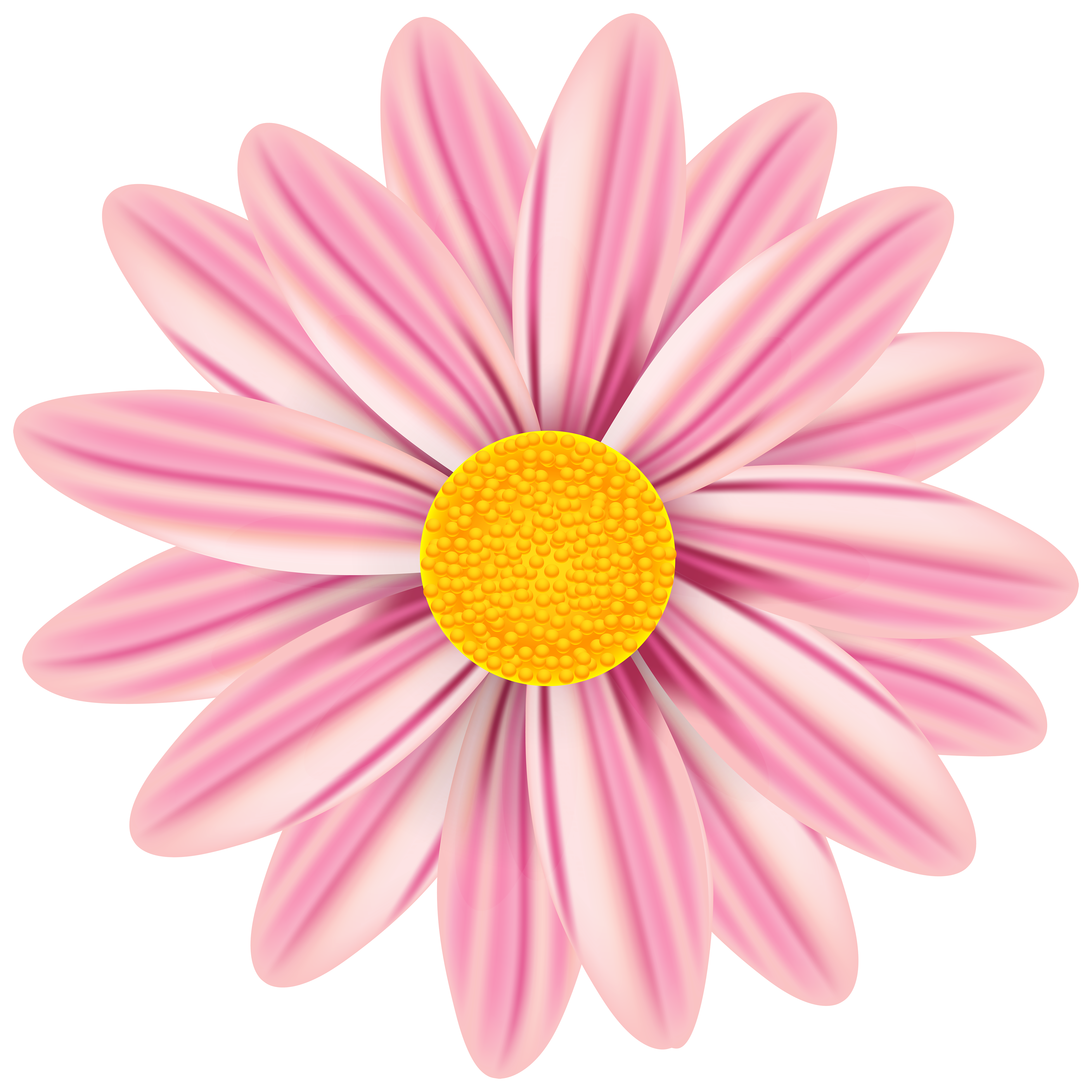 Beautiful Daisy PNG Clip Art Image​ | Gallery Yopriceville - High-Quality  Free Images and Transparent PNG Clipart