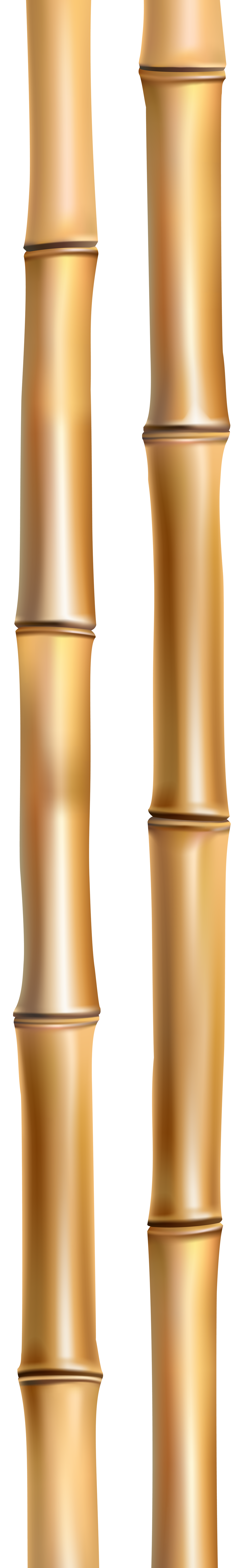 bamboo stick png