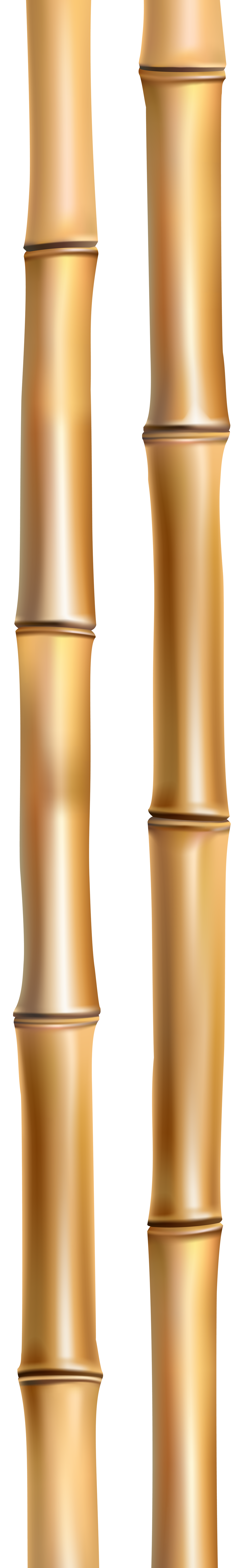 Bamboo Pole Clipart   21341