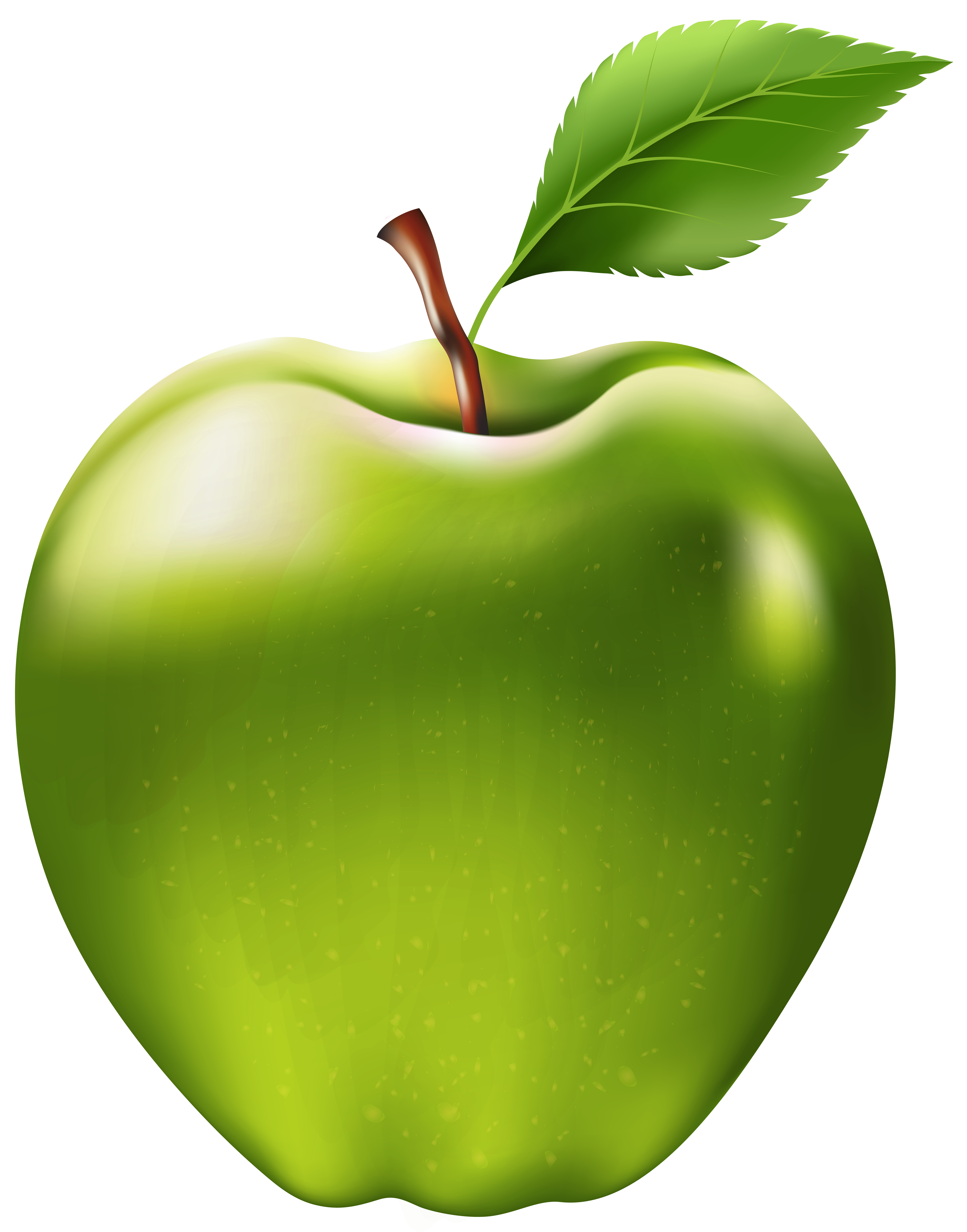 Apple Hd Transparent, Apple, Red Apple Clipart, Fruit, Green Apple PNG  Image For Free Download