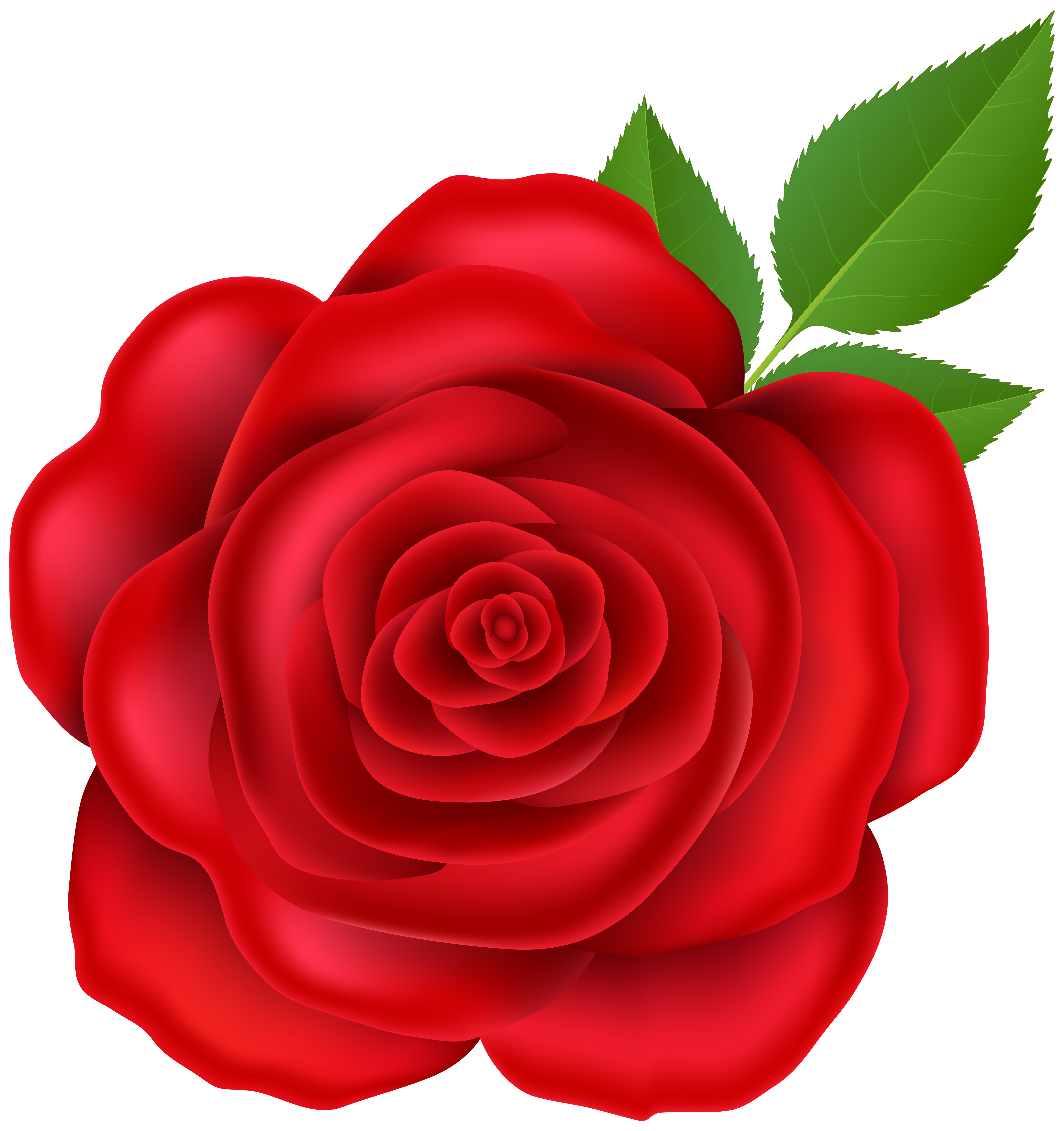 Happy Birthday with Red Rose​  Gallery Yopriceville - High-Quality Free  Images and Transparent PNG Clipart