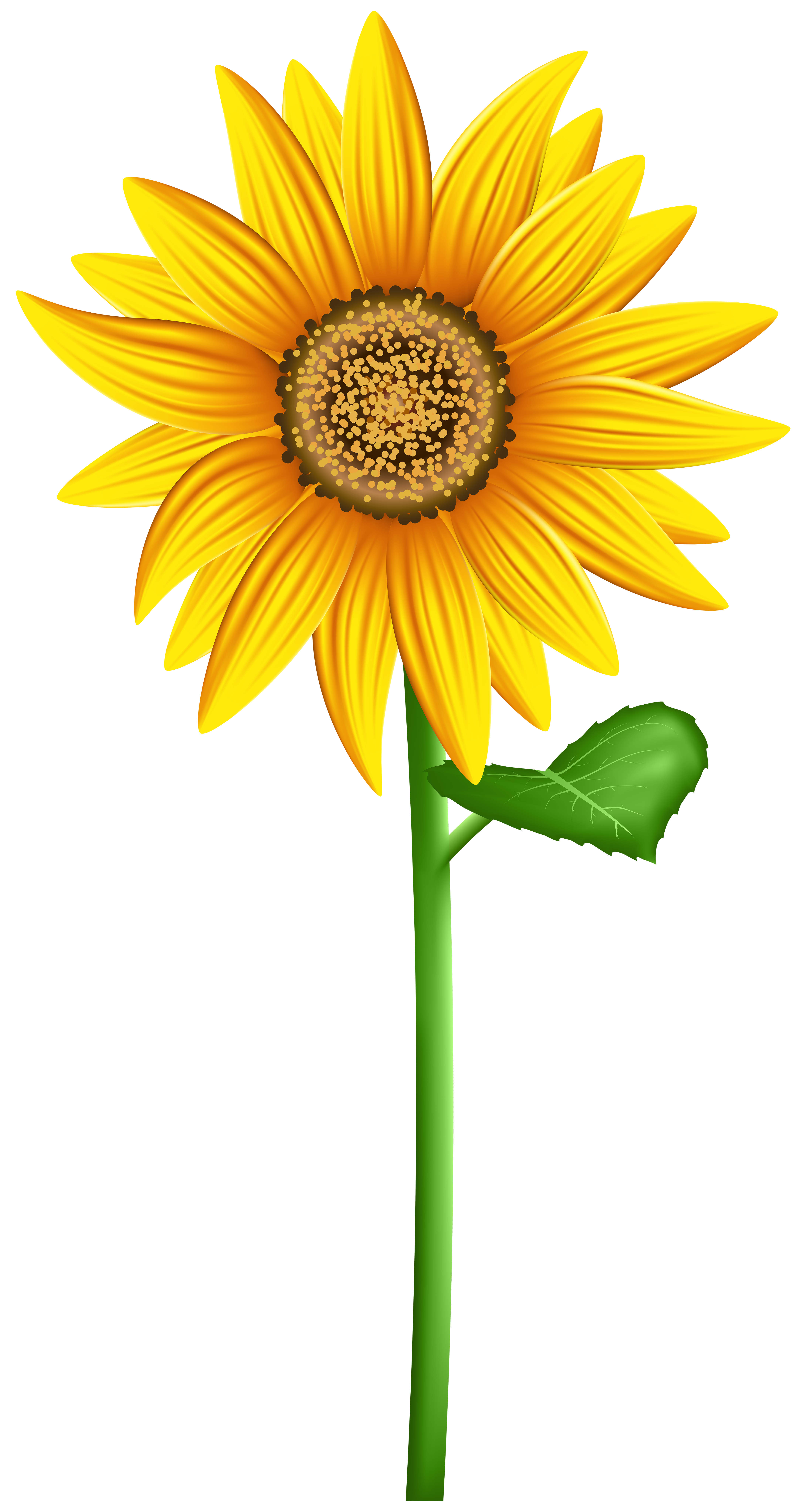 sunflower images clip art