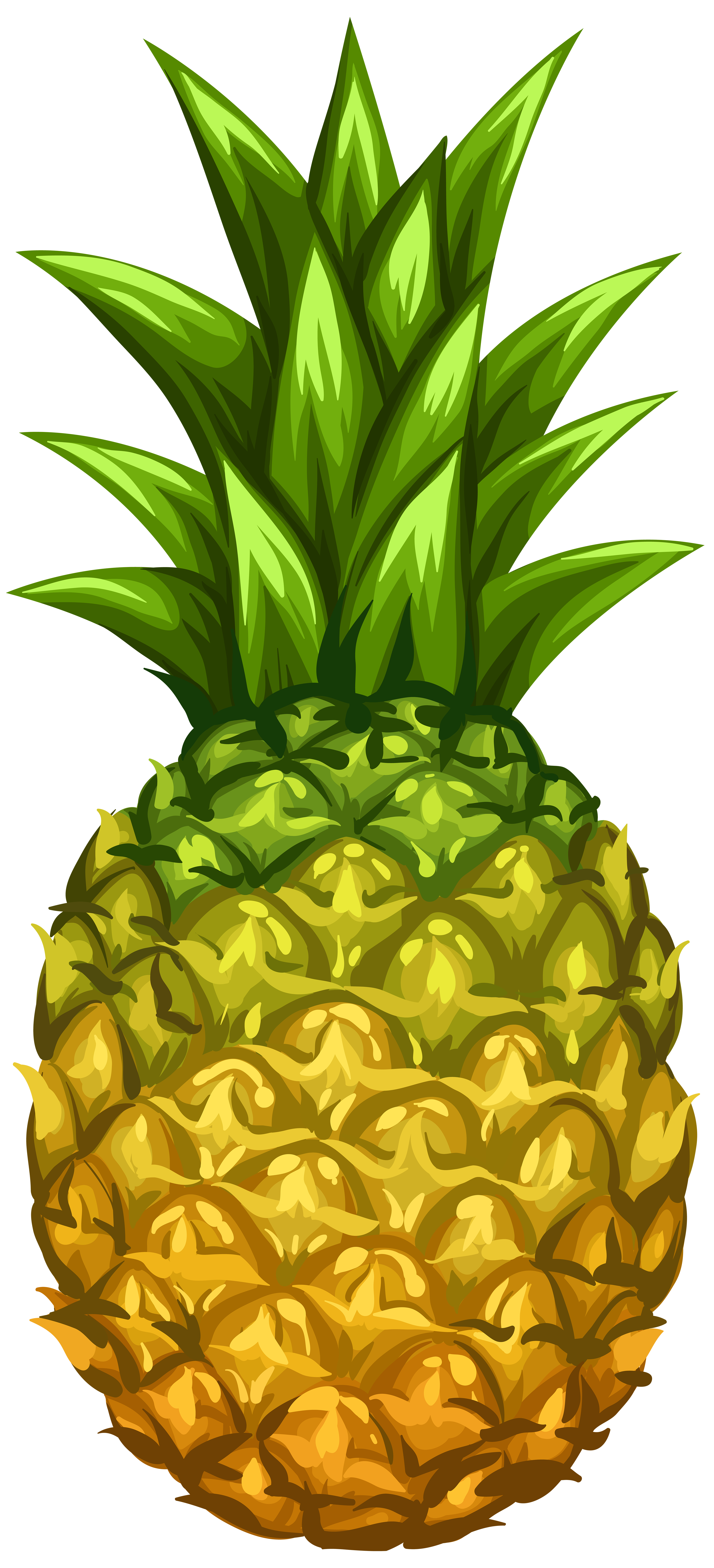 pineapple png