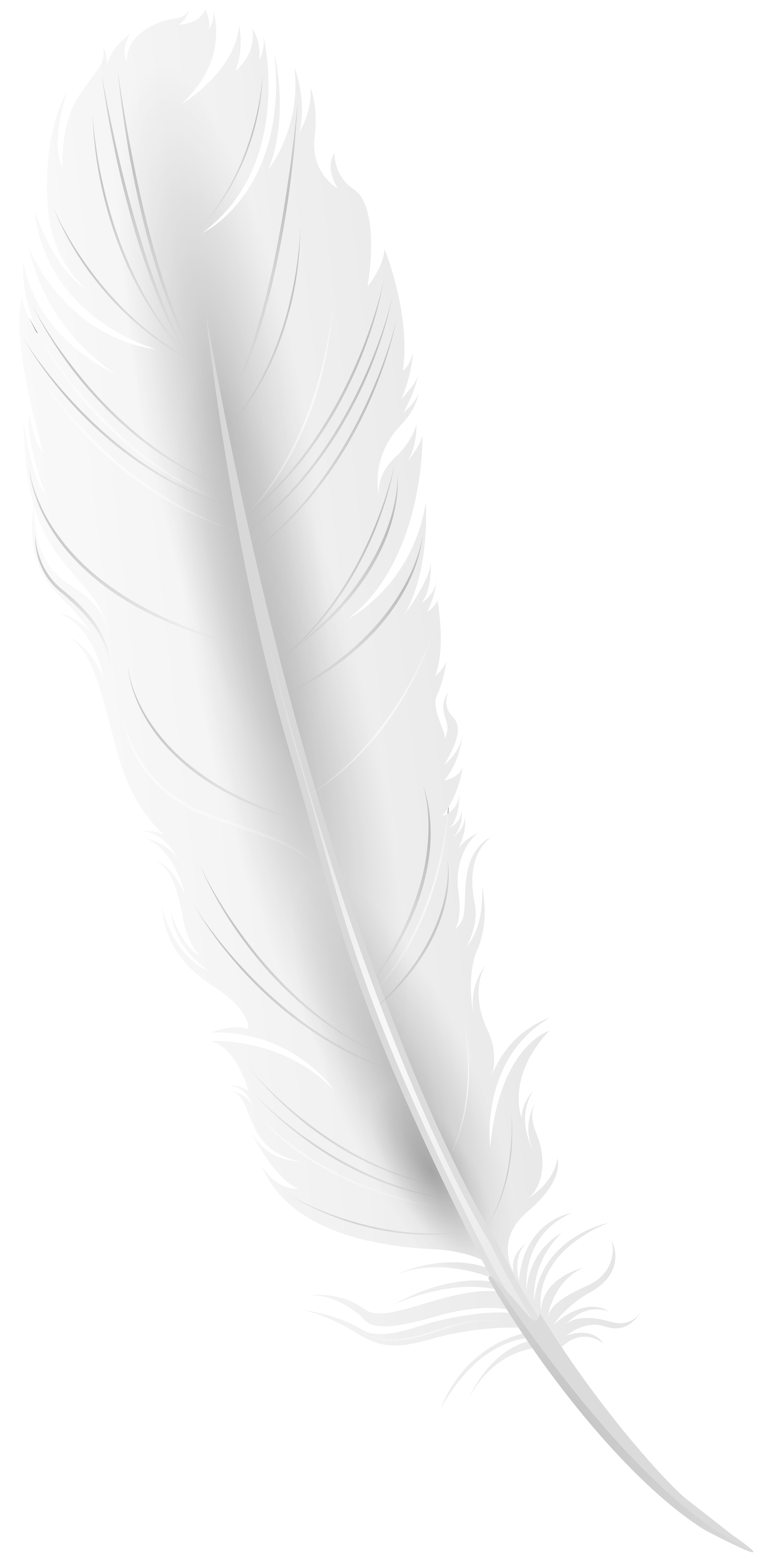 White Feather PNG Transparent Clipart​  Gallery Yopriceville -  High-Quality Free Images and Transparent PNG Clipart