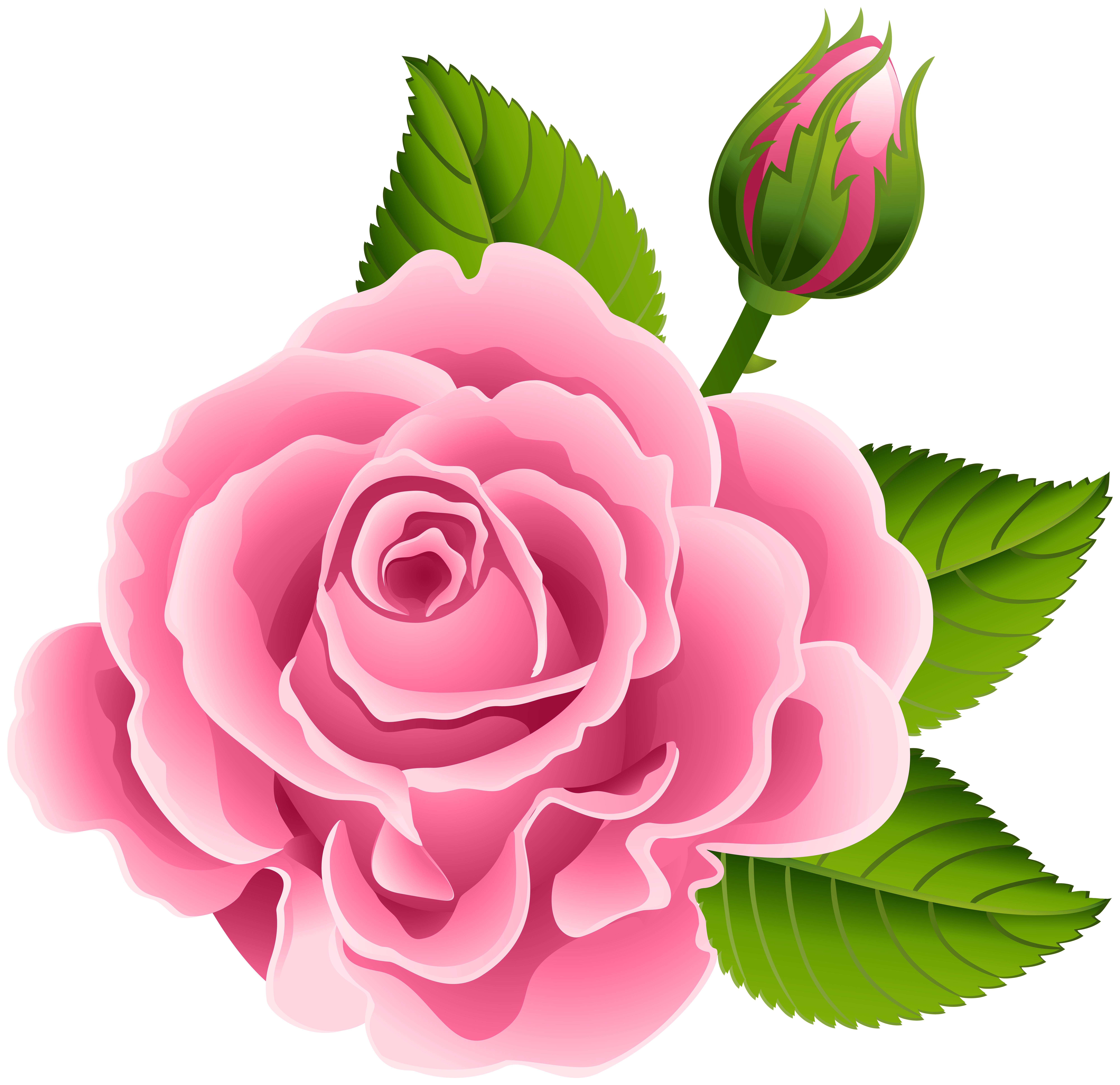 pink rose flower clip art