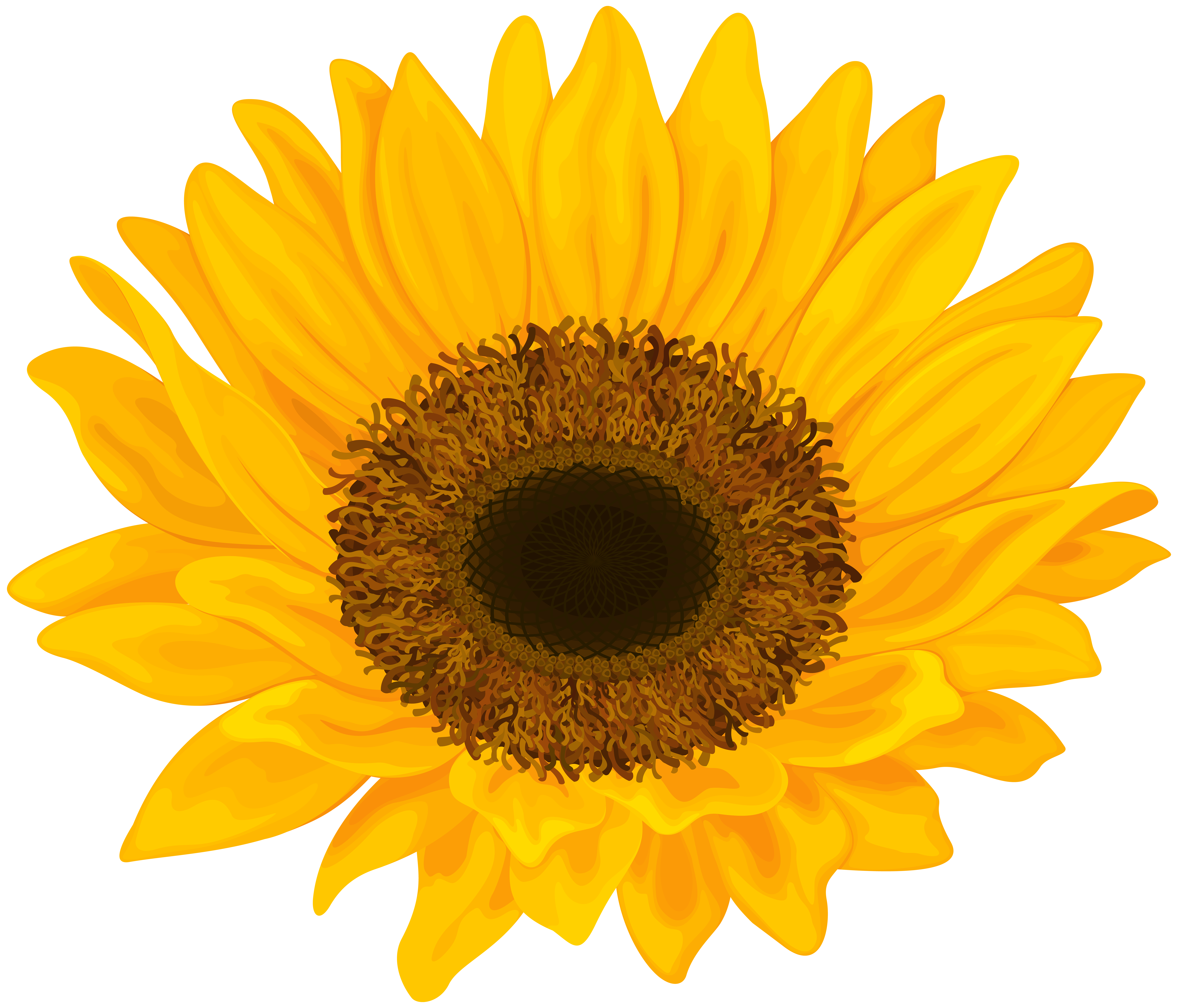 Sunflower PNG Clip Art Image​ | Gallery Yopriceville - High-Quality Free  Images and Transparent PNG Clipart