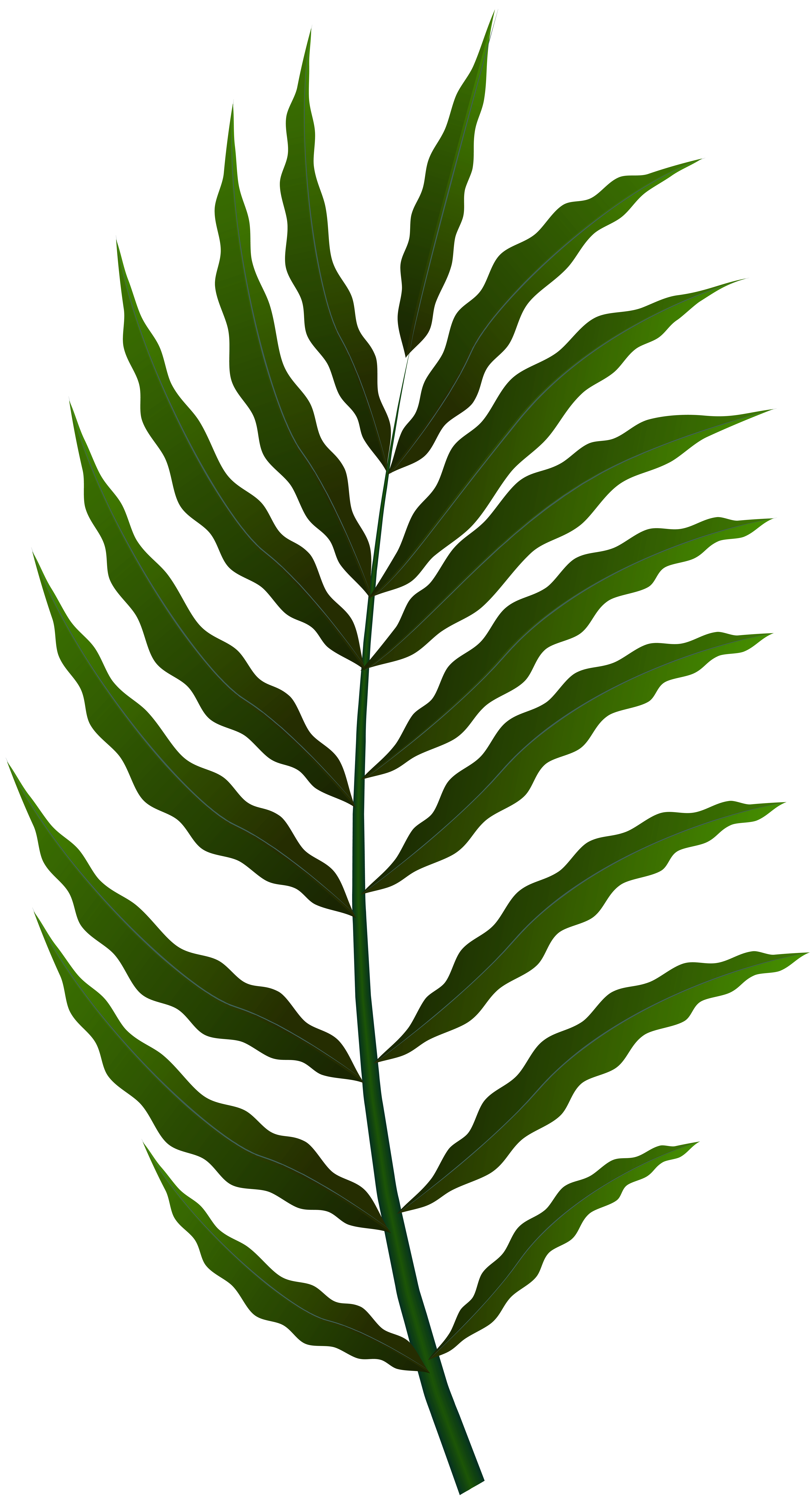 Green Leaf PNG Clip Art Image​  Gallery Yopriceville - High-Quality Free  Images and Transparent PNG Clipart