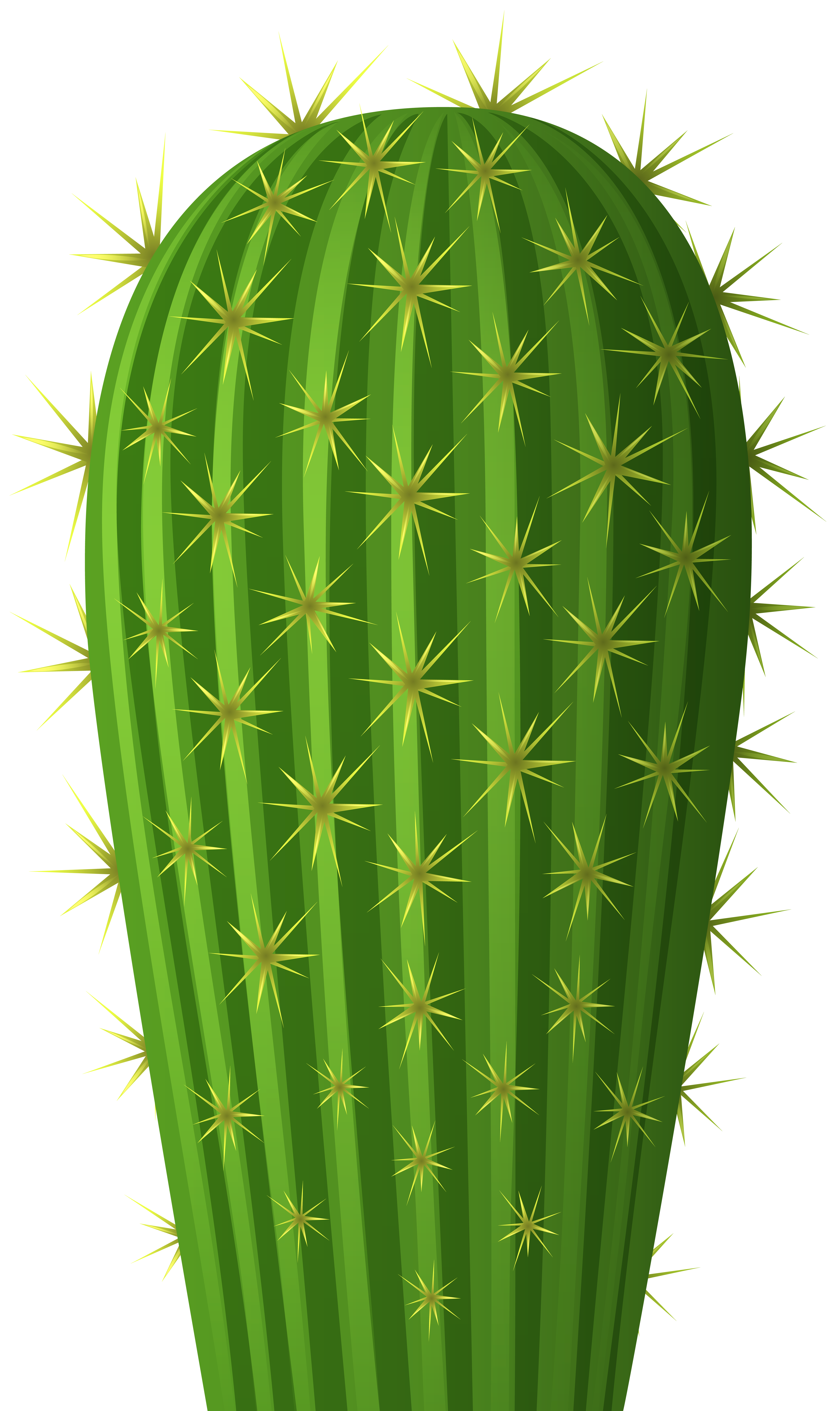 Cactus Png Clip Art Image Gallery Yopriceville High Quality Images And Transparent Png Free Clipart