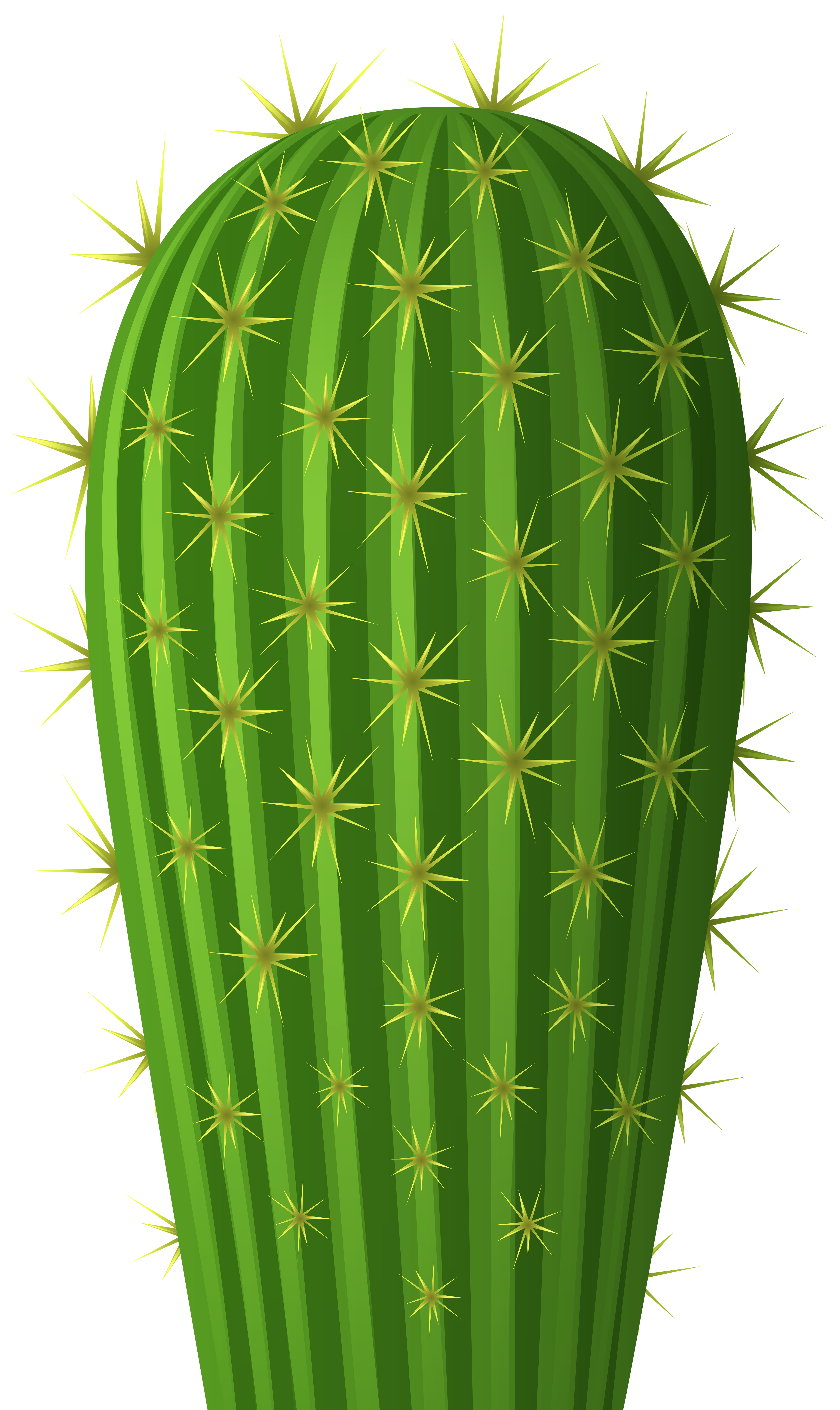 Cactus Transparent PNG Clip Art Image​