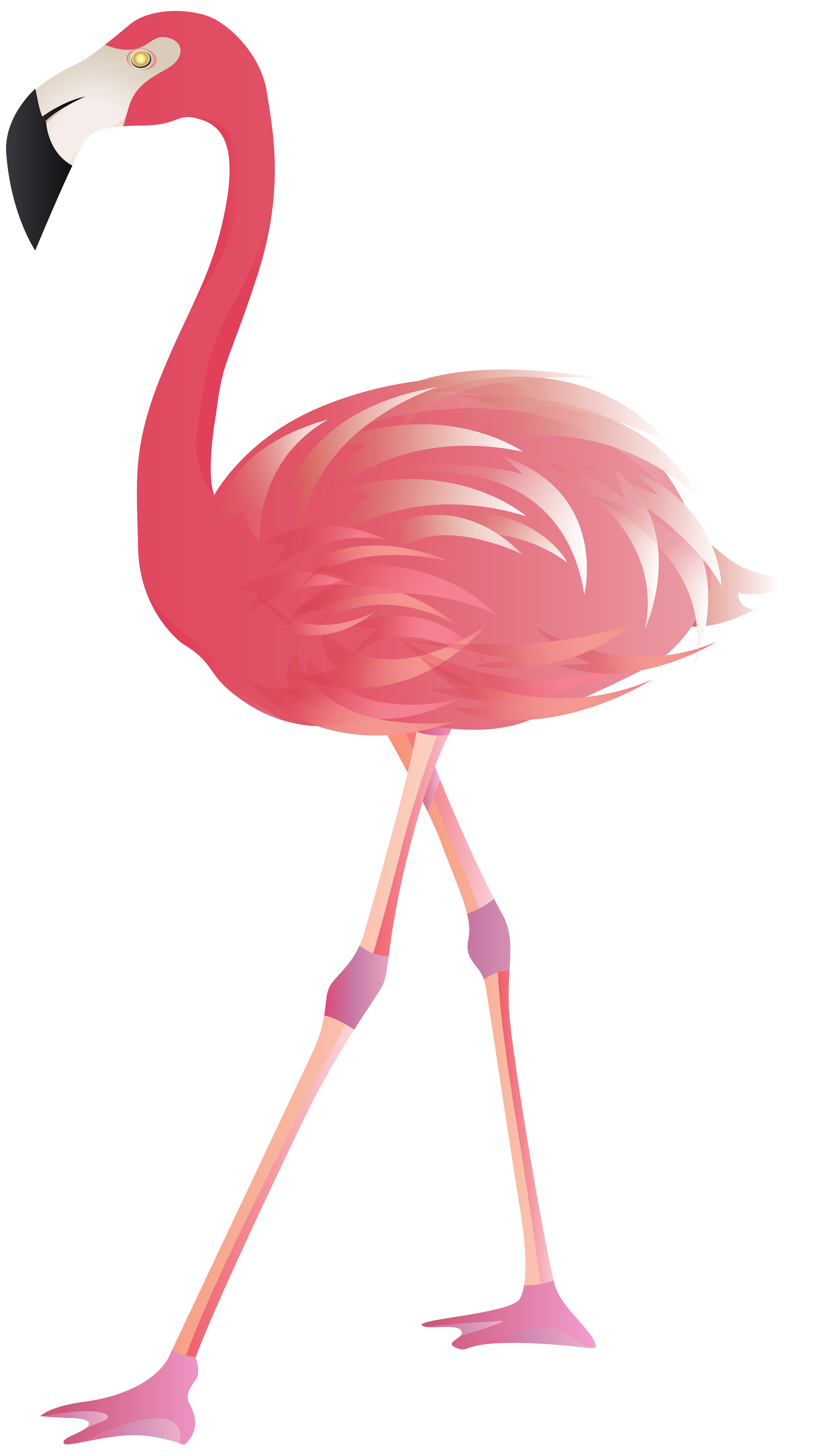 Pink Flamingo PNG Clipart​  Gallery Yopriceville - High-Quality Free  Images and Transparent PNG Clipart