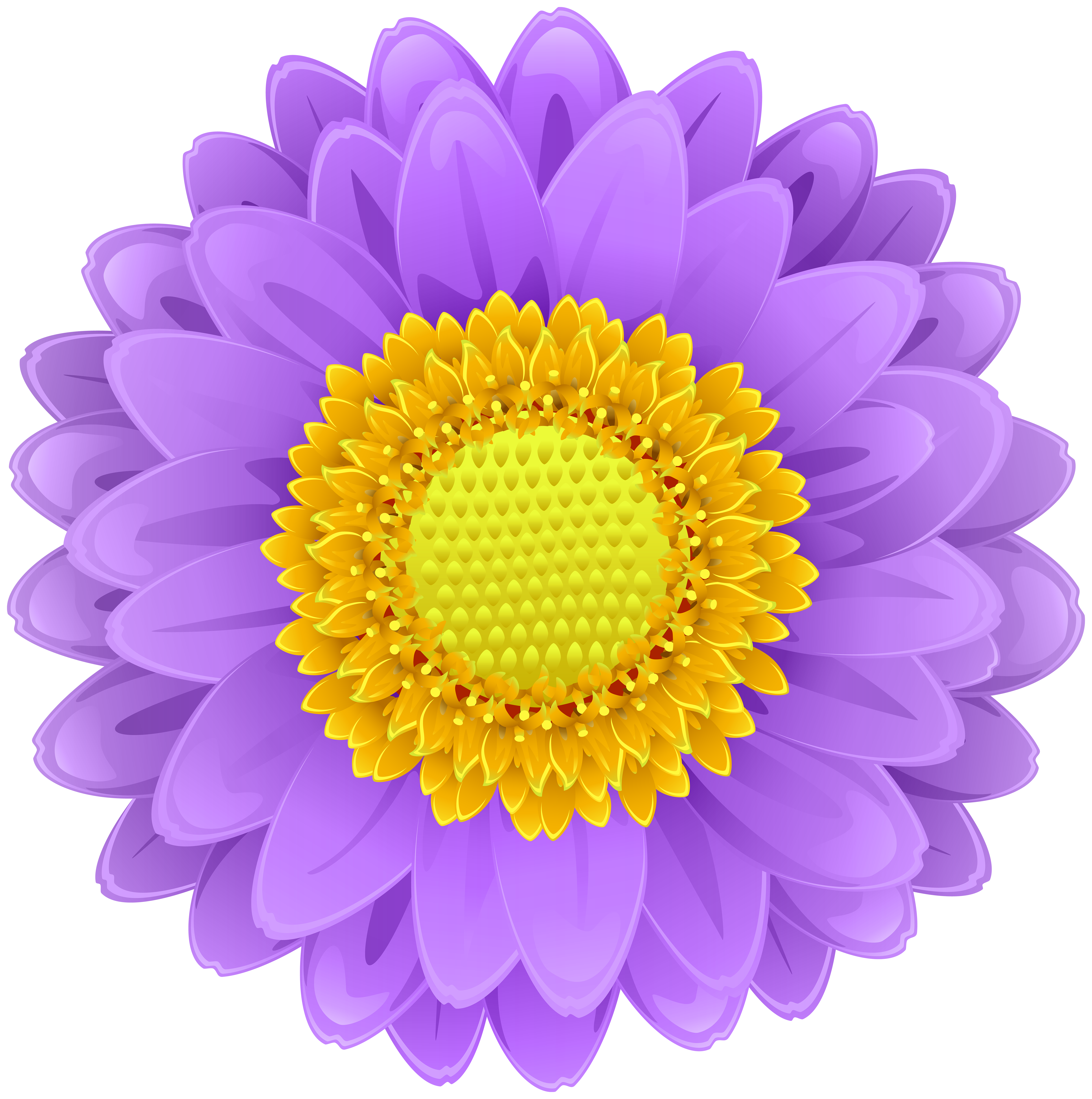 yellow and purple flower clipart