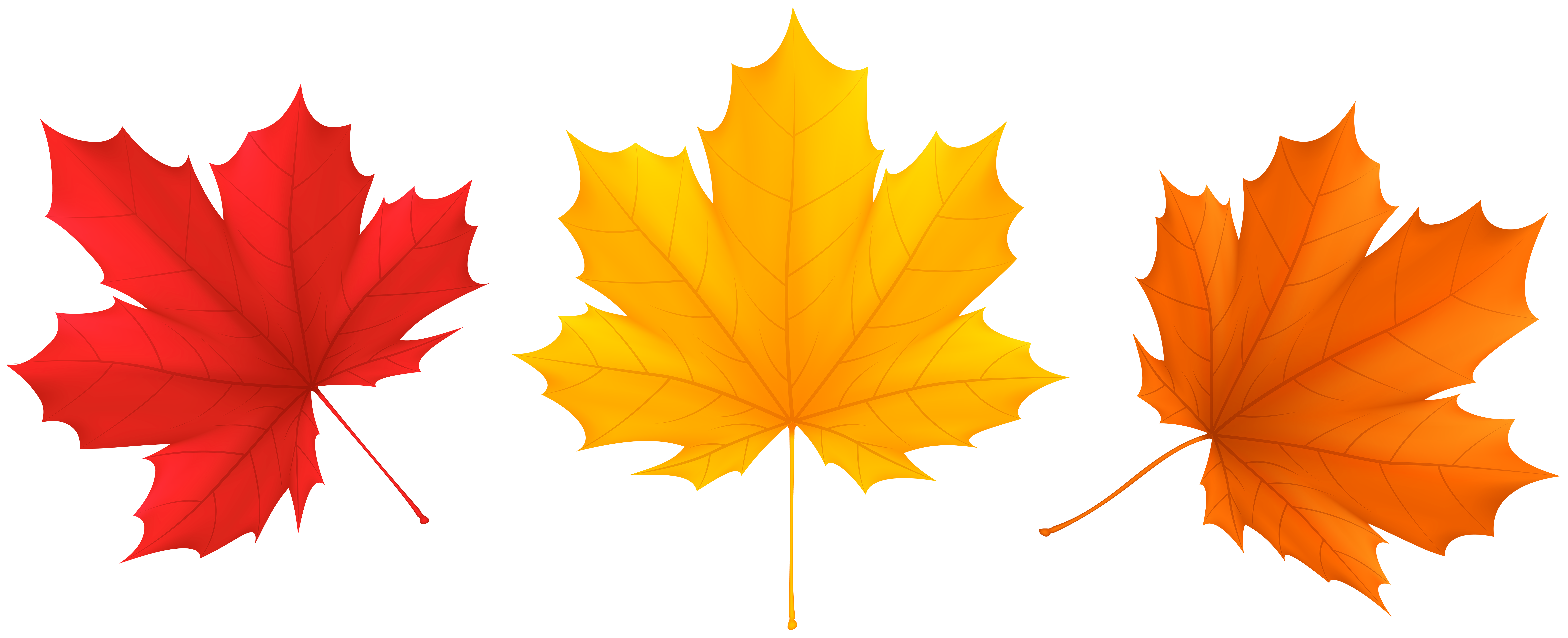 clipart images of fall leaves