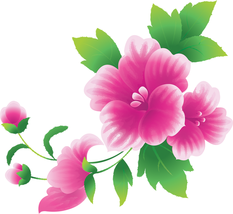 Large Pink Flowers Clipart​  Gallery Yopriceville - High-Quality Free  Images and Transparent PNG Clipart