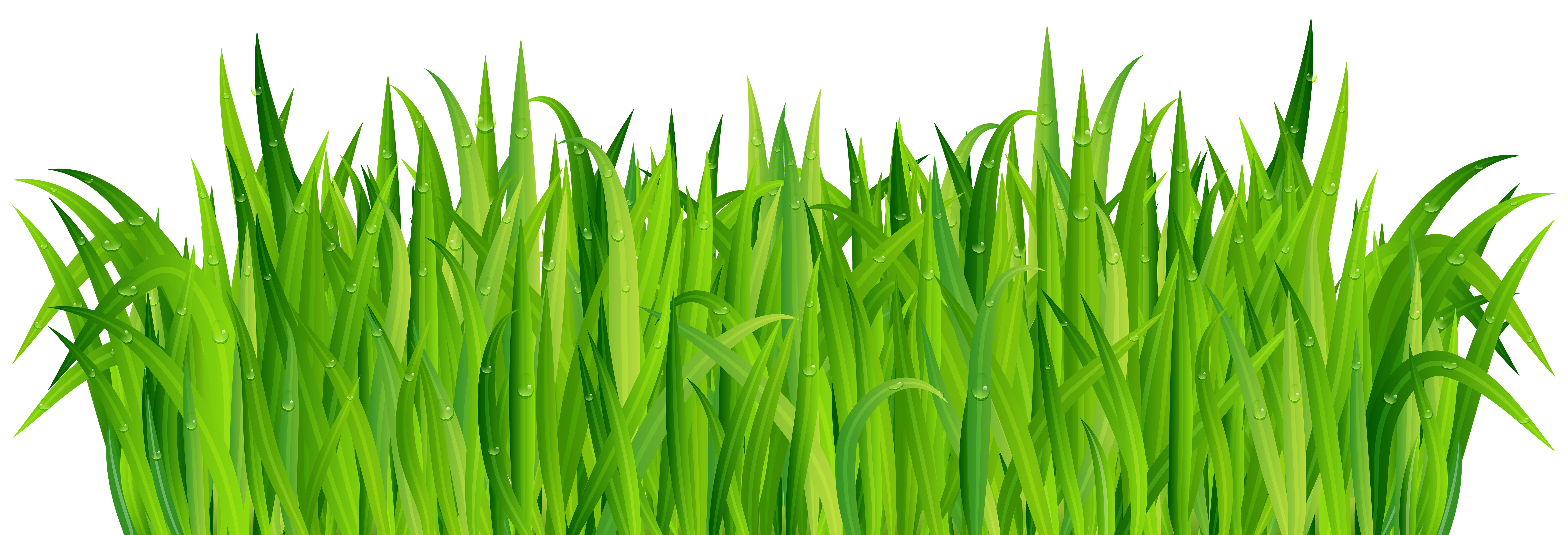 Grass png images