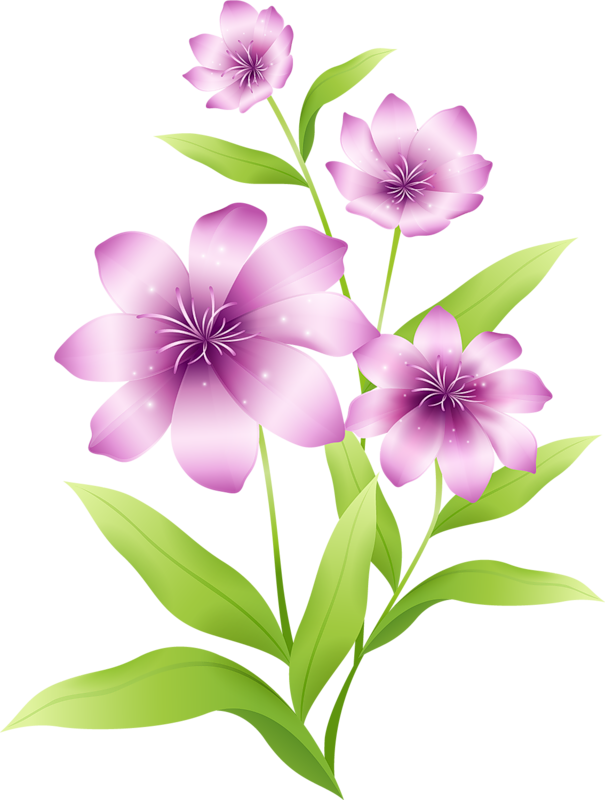 purple and pink flowers clipart