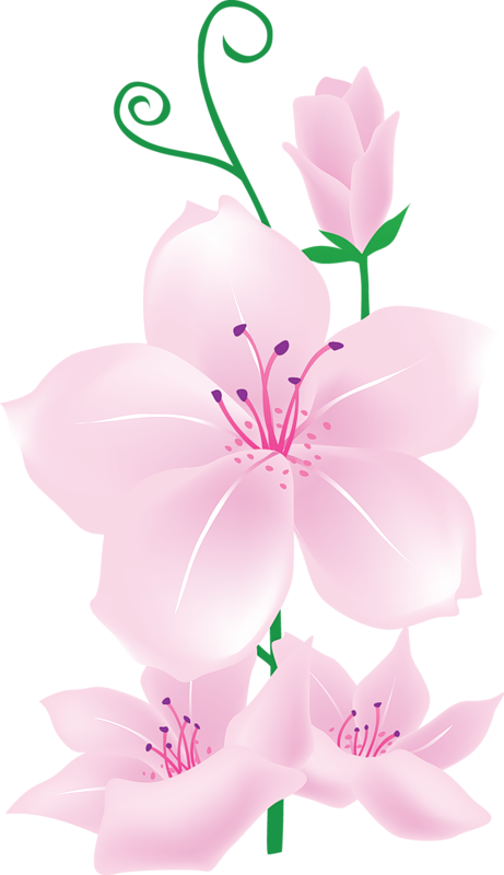 Pink Flower Transparent Clip Art Image​  Gallery Yopriceville -  High-Quality Free Images and Transparent PNG Clipart