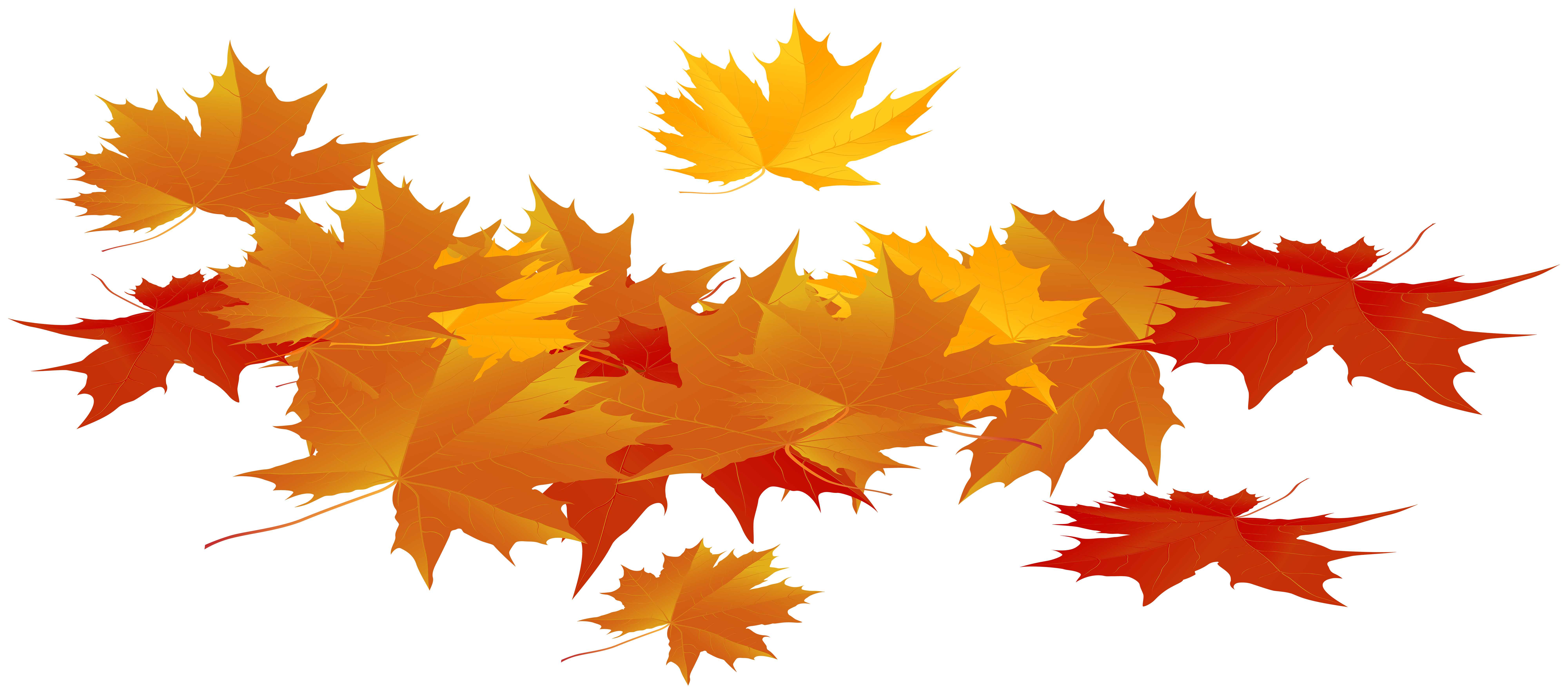 autumn leaf png