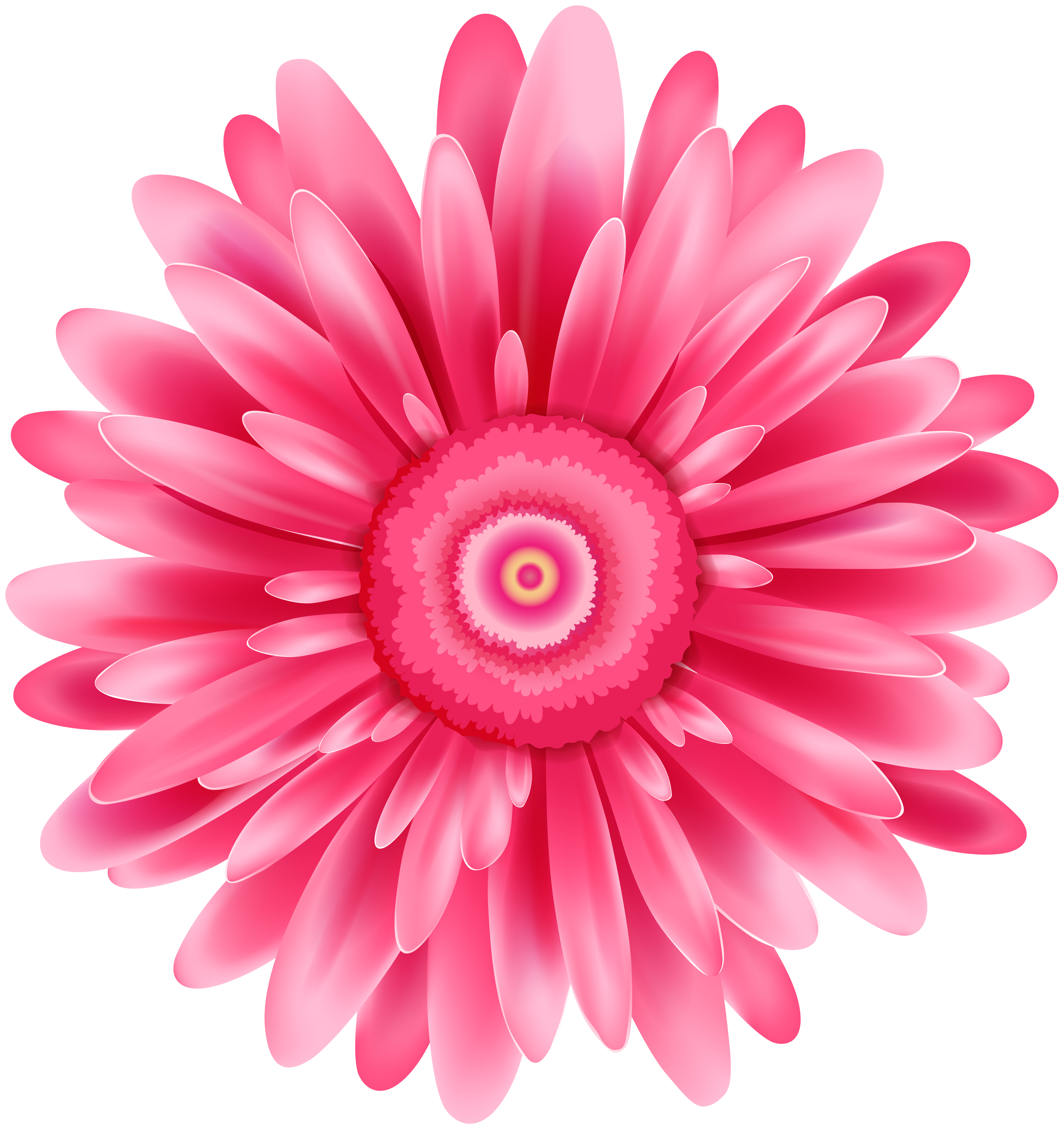 cute pink flower clipart no background