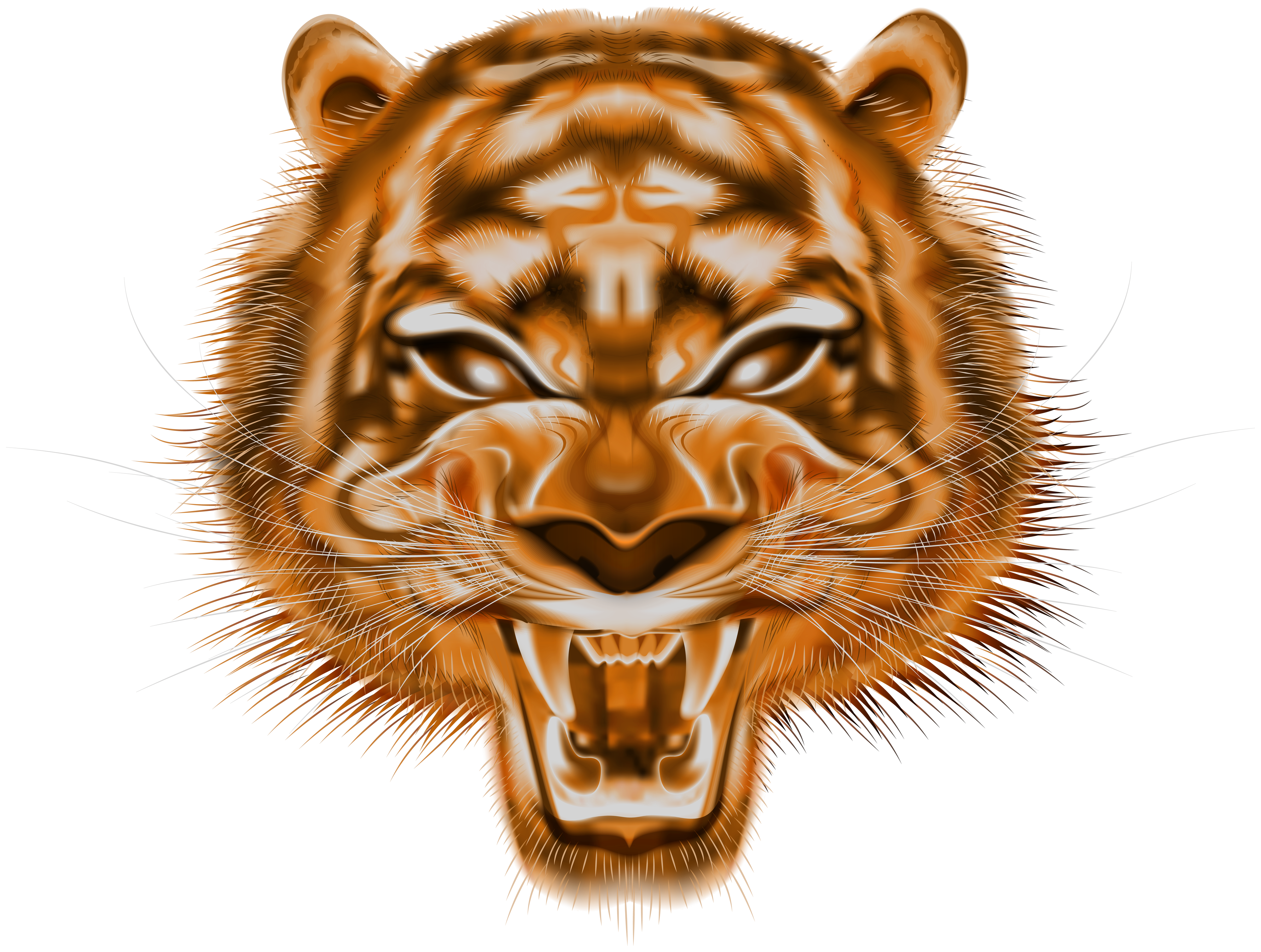 tiger head png