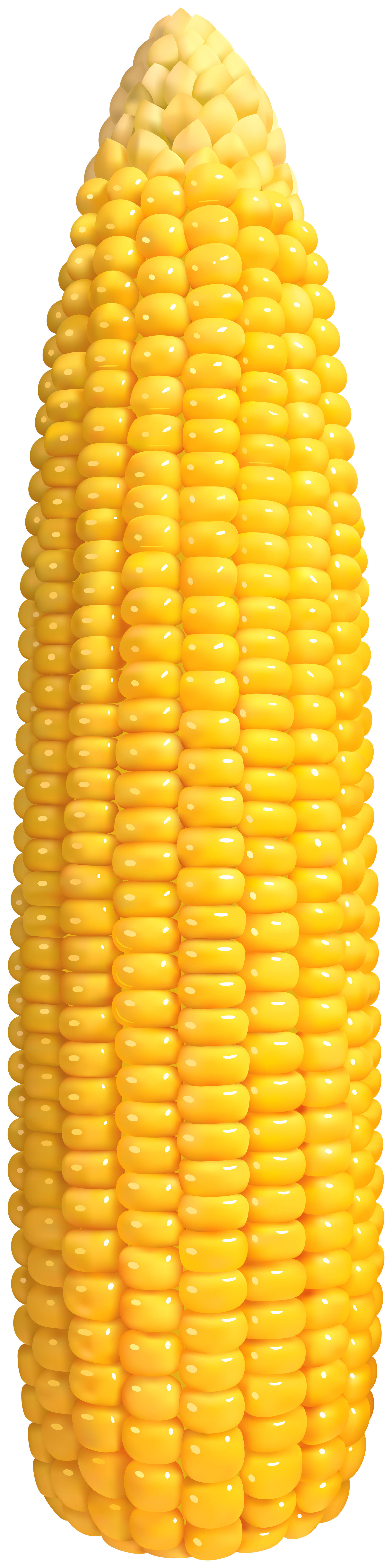 corn png