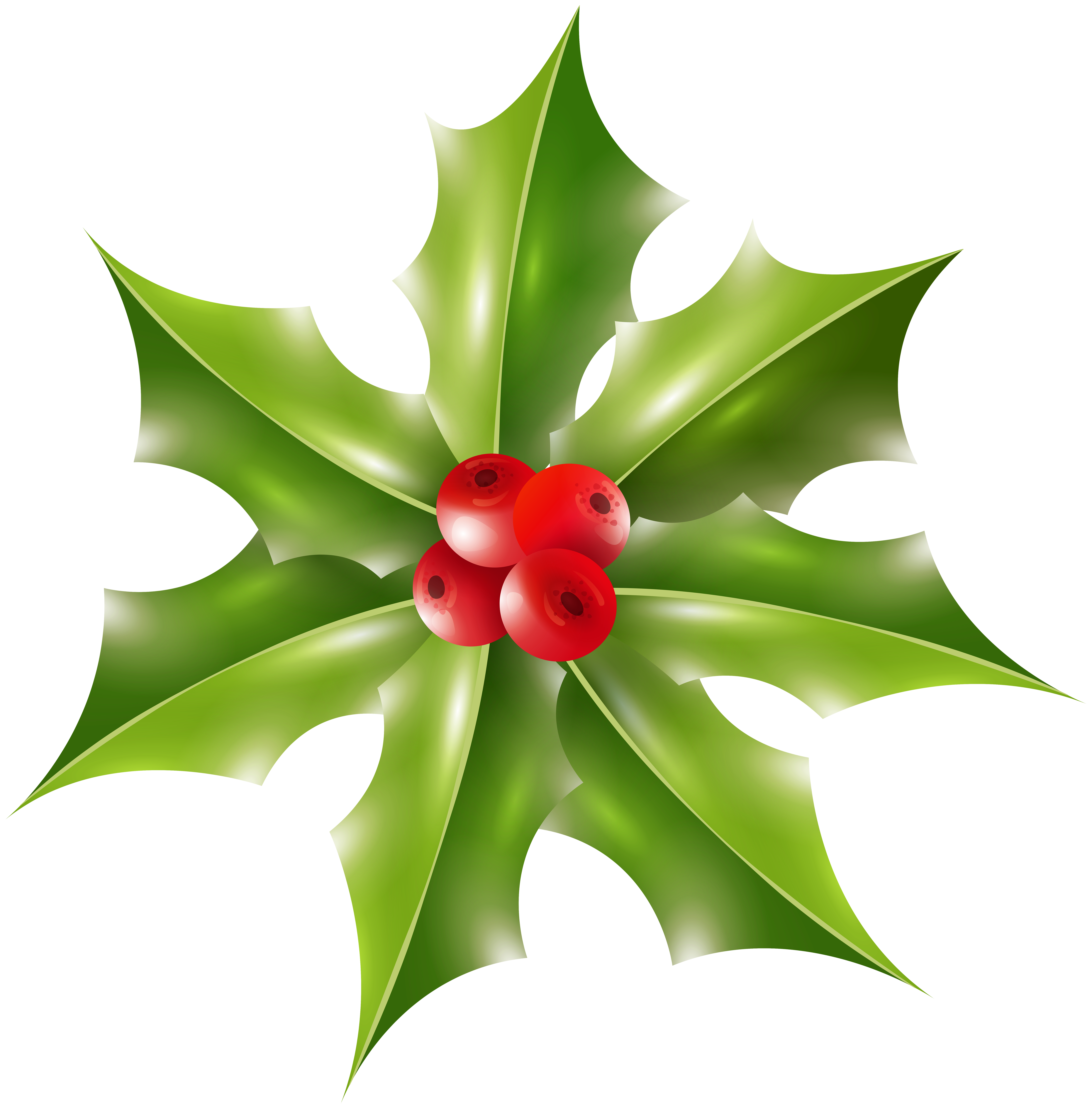 Christmas holly clipart. Free download transparent .PNG