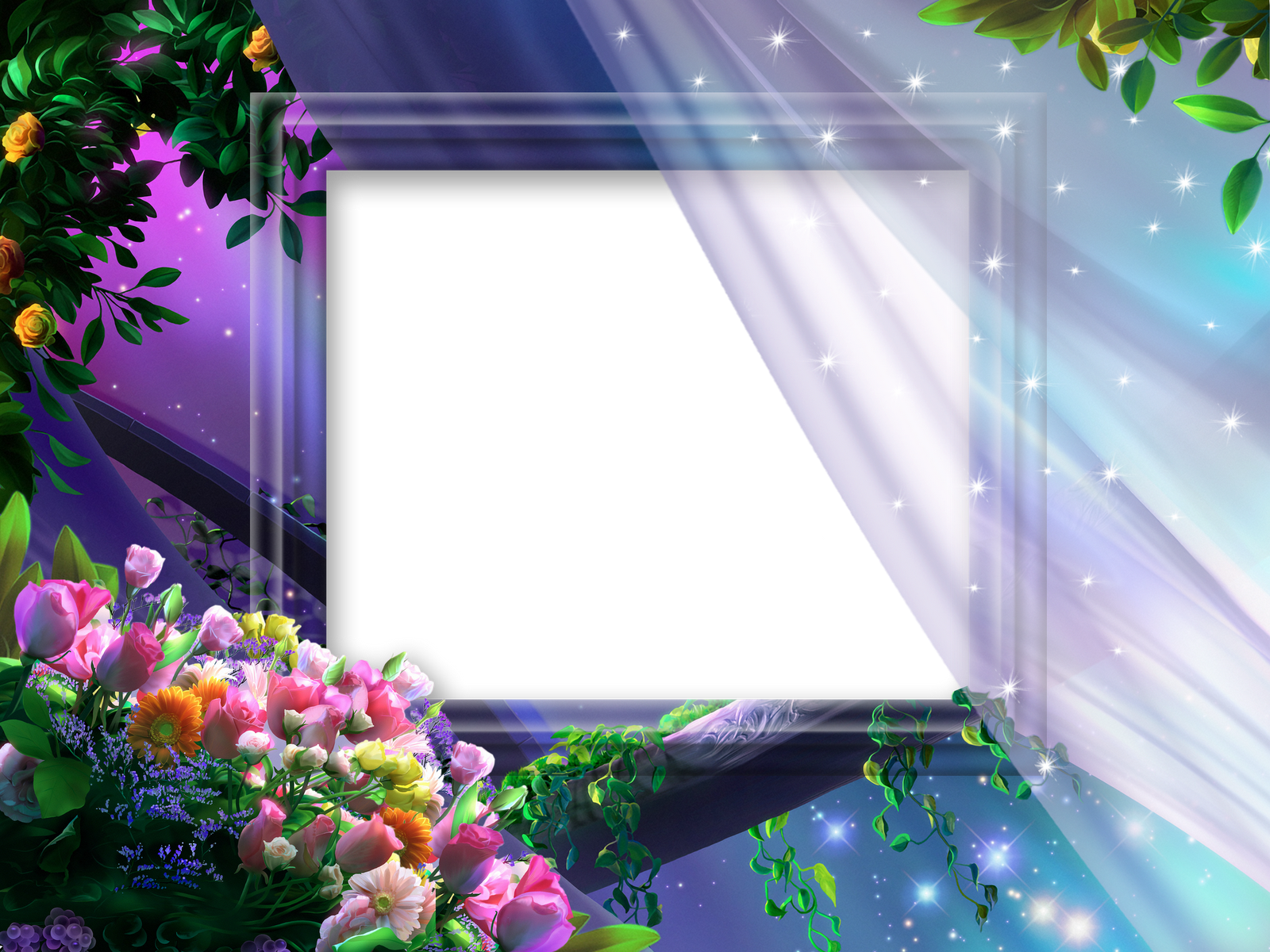 beautiful nature frames