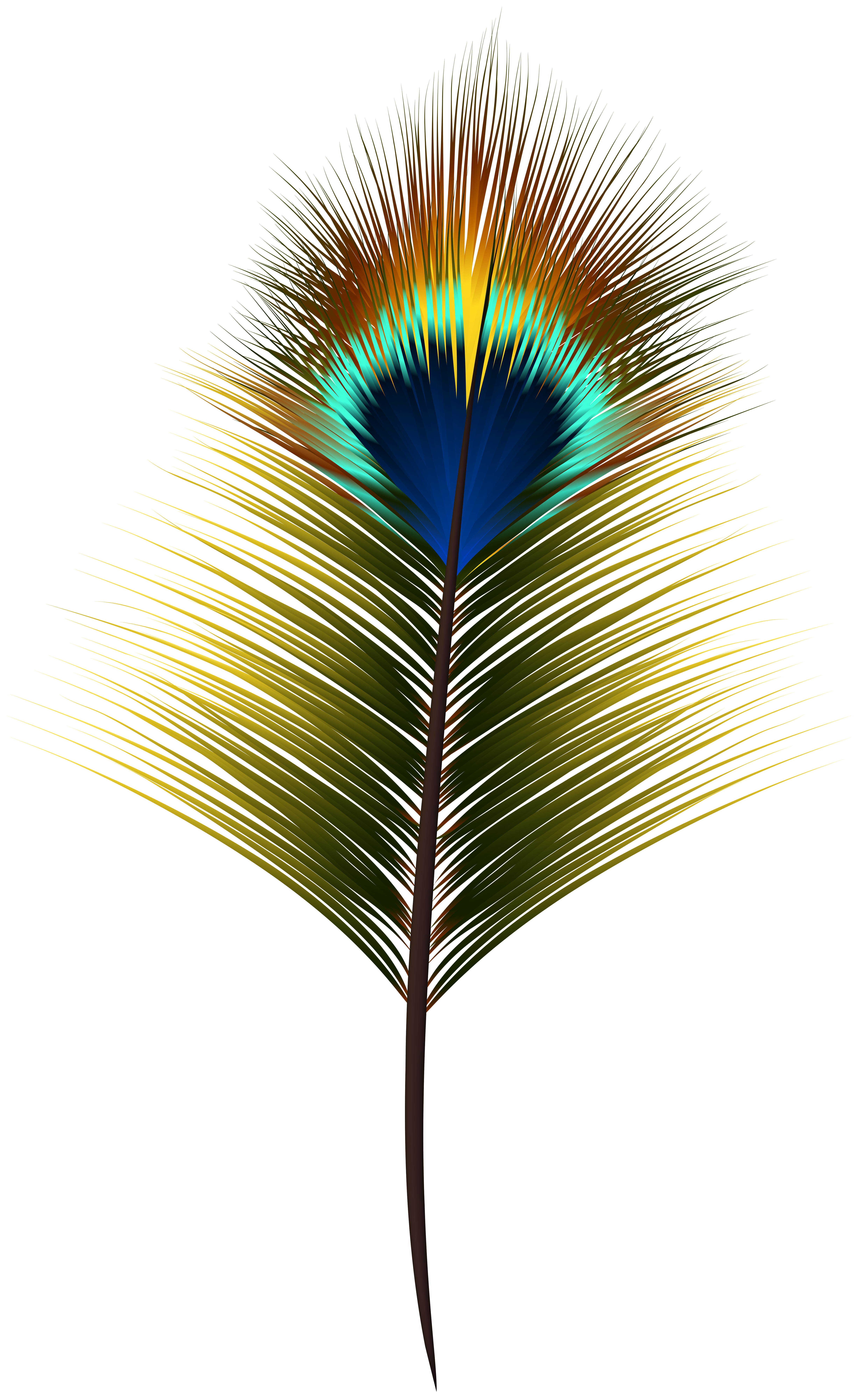 peacock feather png clip art gallery yopriceville high quality images and transparent png free clipart gallery yopriceville