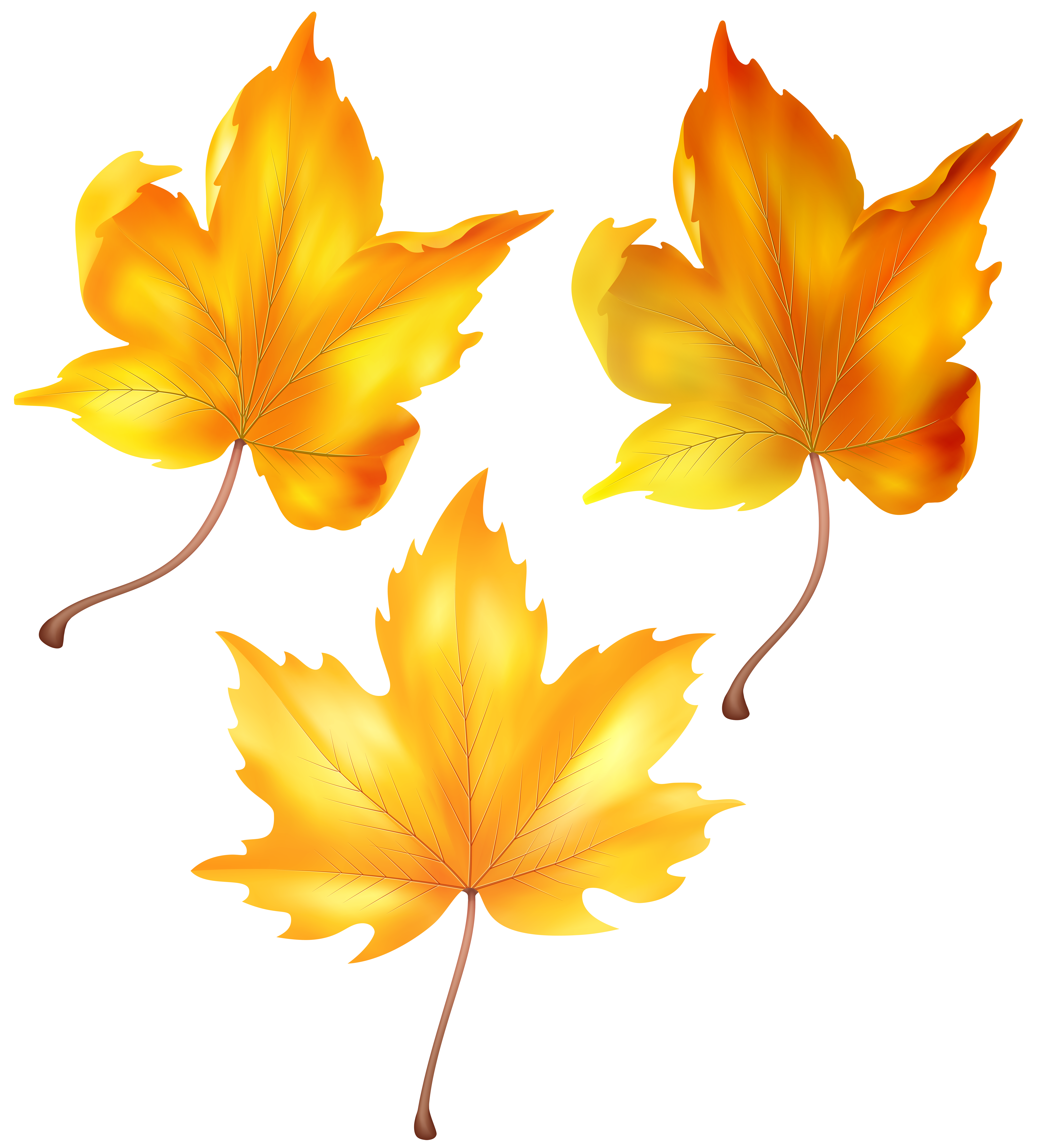 Beautiful Autumn Leaves PNG Clip Art​