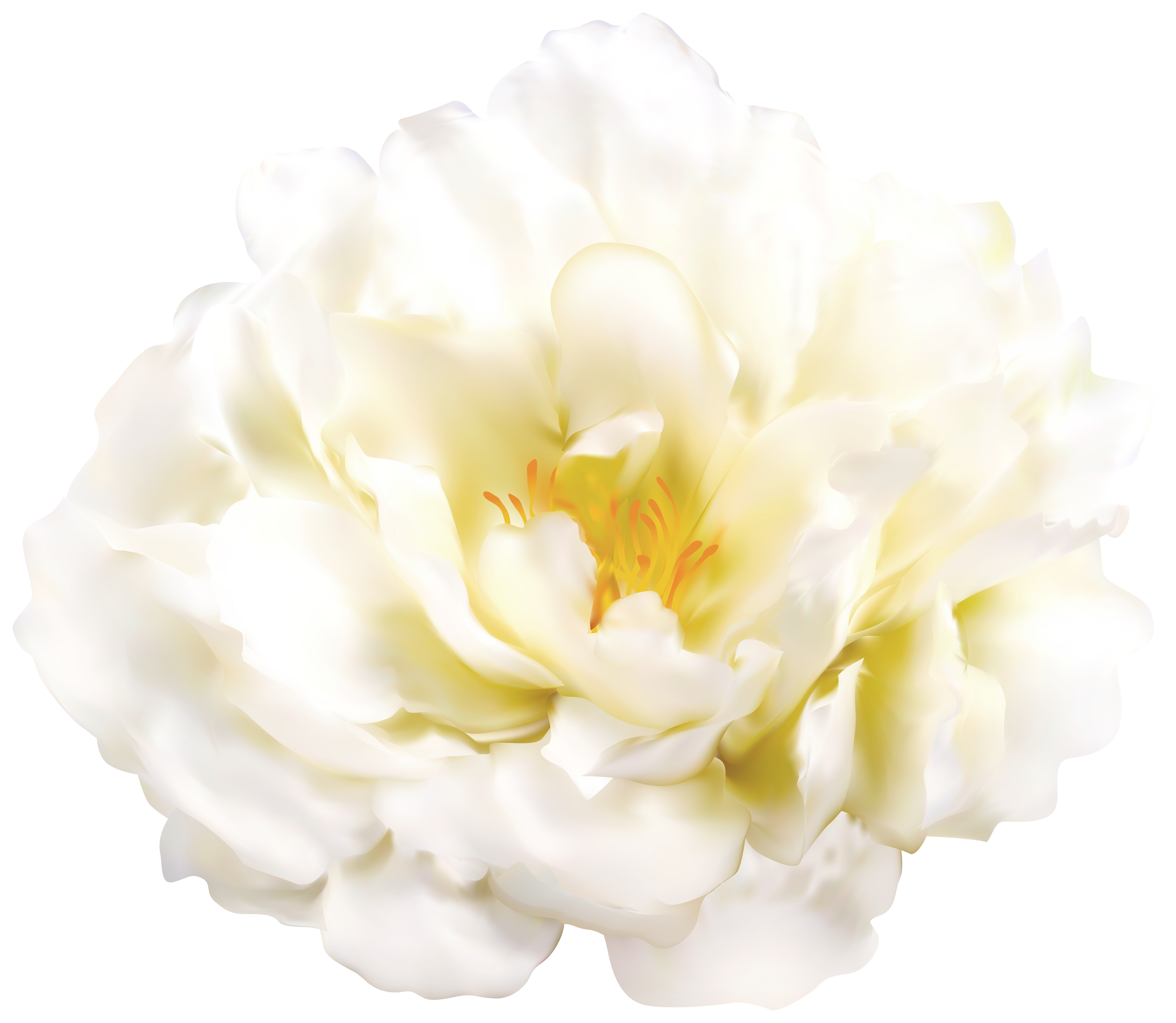 Peony with Stem PNG Clipart​  Gallery Yopriceville - High-Quality Free  Images and Transparent PNG Clipart