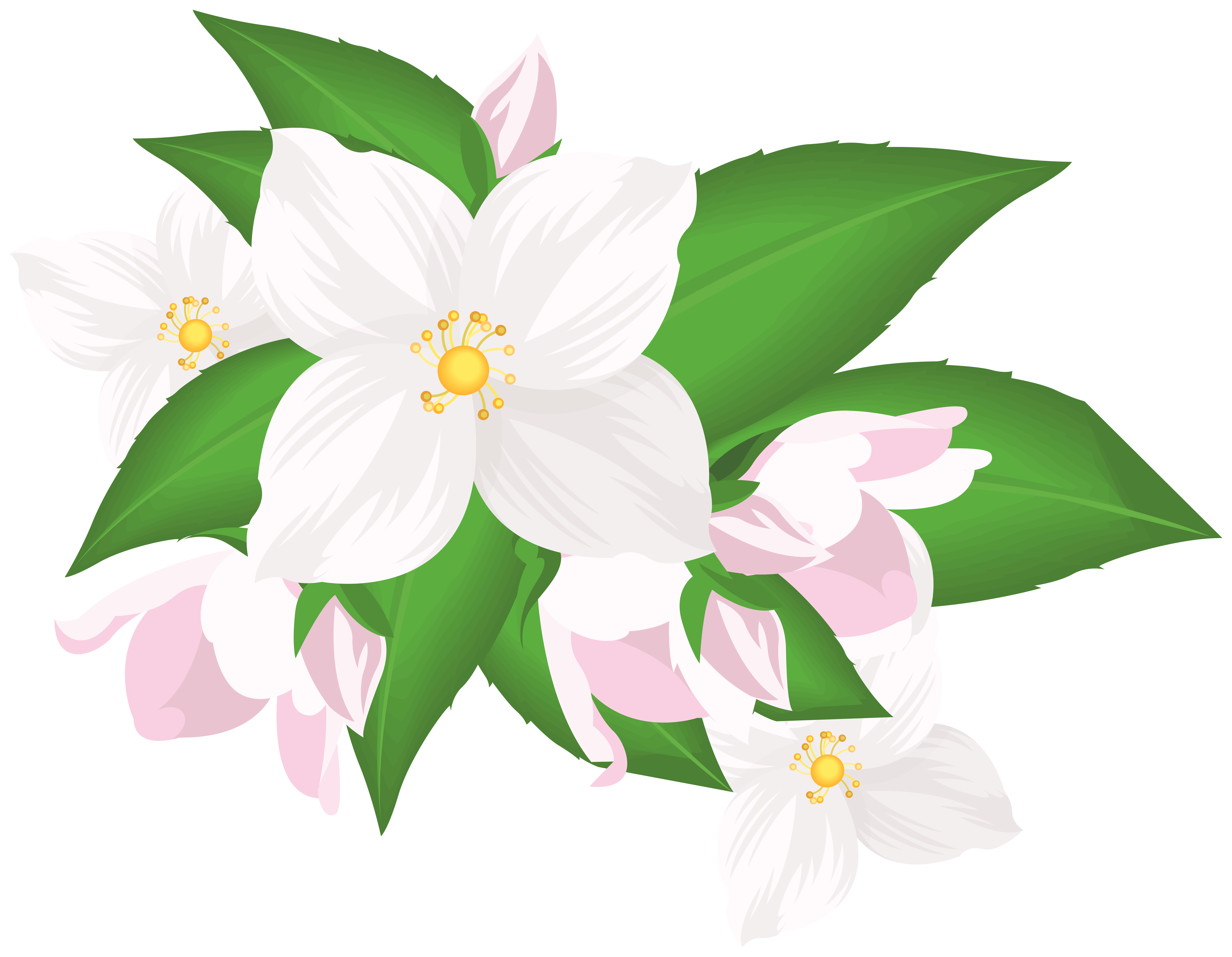 White Flowers Transparent Clip Art​ | Gallery Yopriceville - High-Quality  Free Images and Transparent PNG Clipart