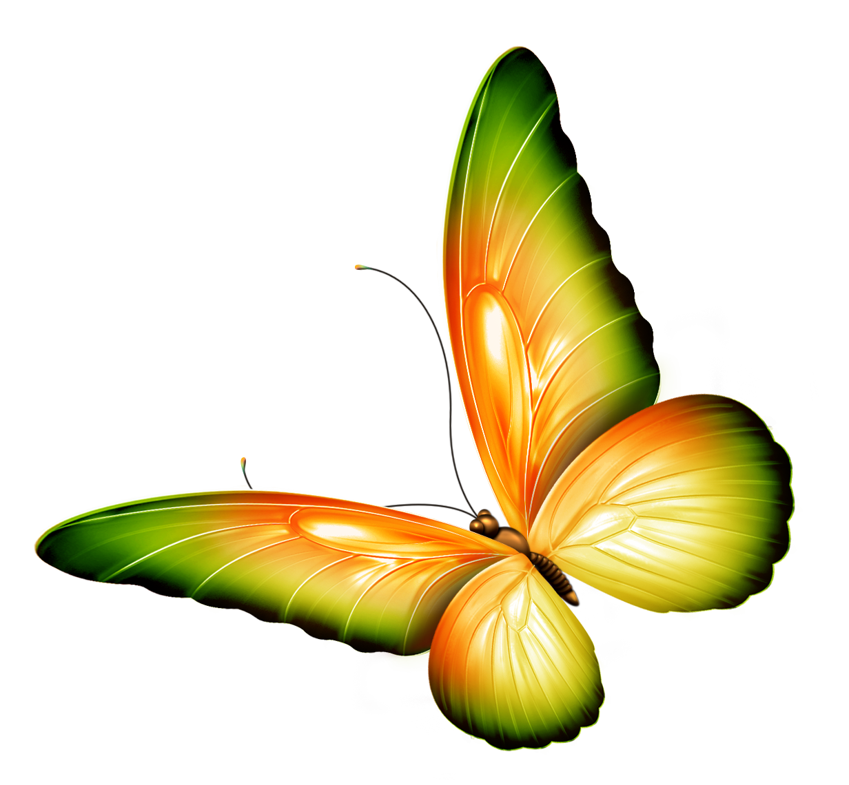 Yellow and Green Transparent Butterfly Clipart​ | Gallery Yopriceville -  High-Quality Free Images and Transparent PNG Clipart