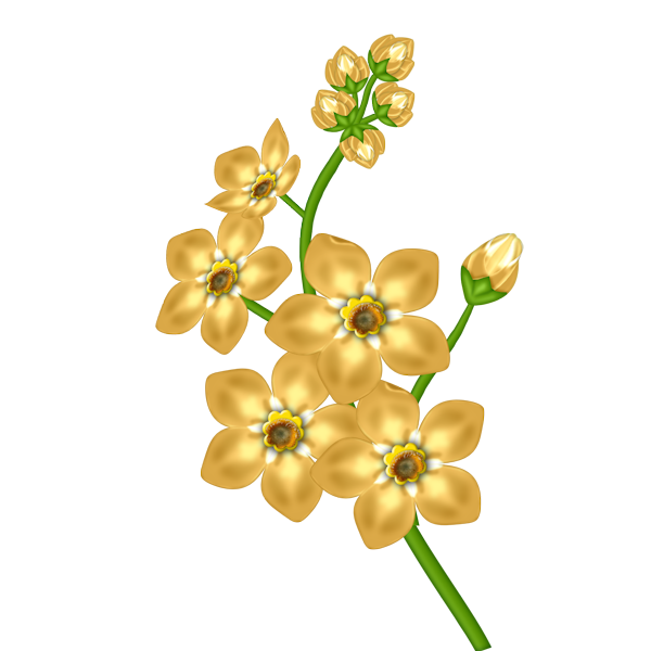 Yellow Flower Transparent Clipart​  Gallery Yopriceville - High-Quality  Free Images and Transparent PNG Clipart