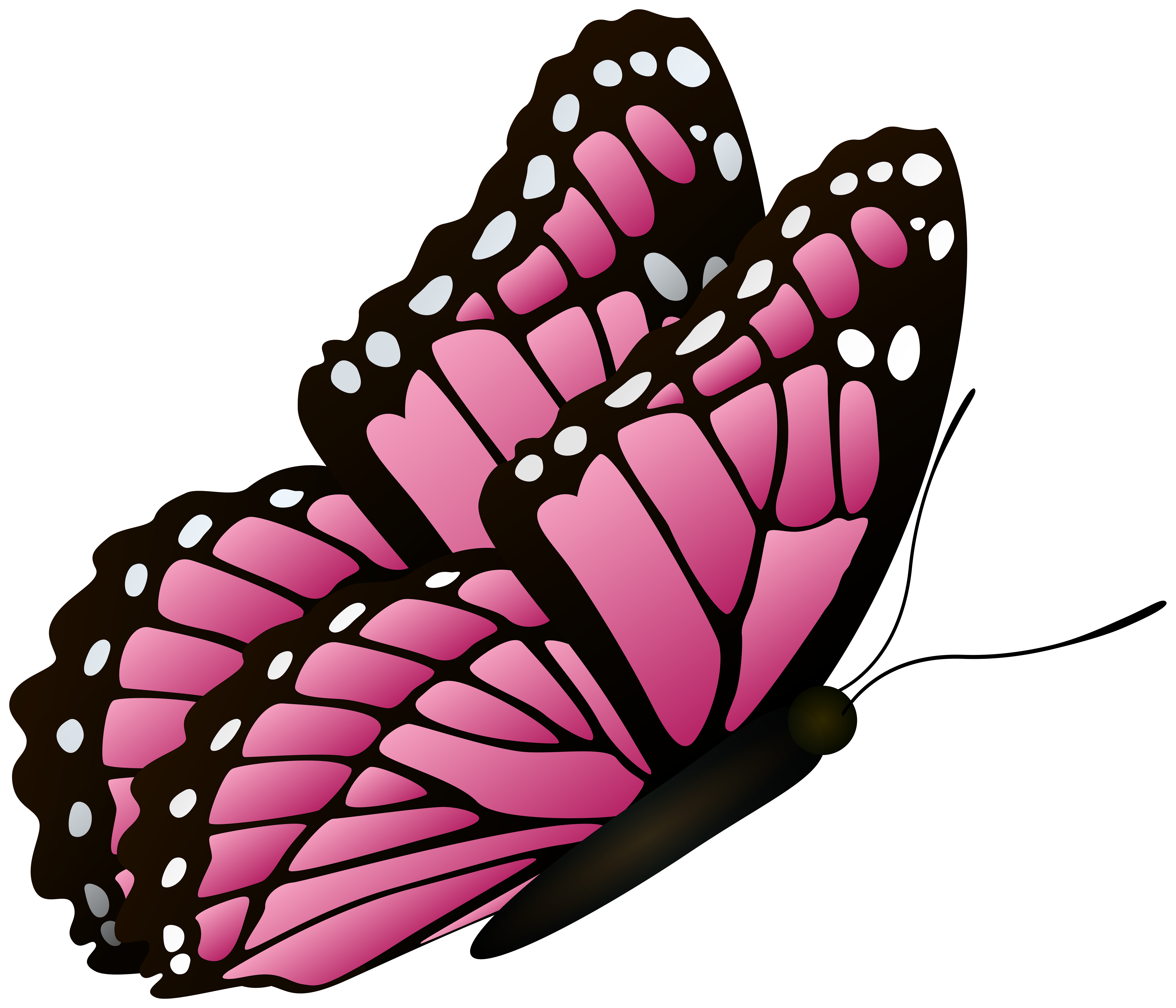 Flying Butterfly Pink Clipart Image​ | Gallery Yopriceville - High-Quality  Free Images and Transparent PNG Clipart