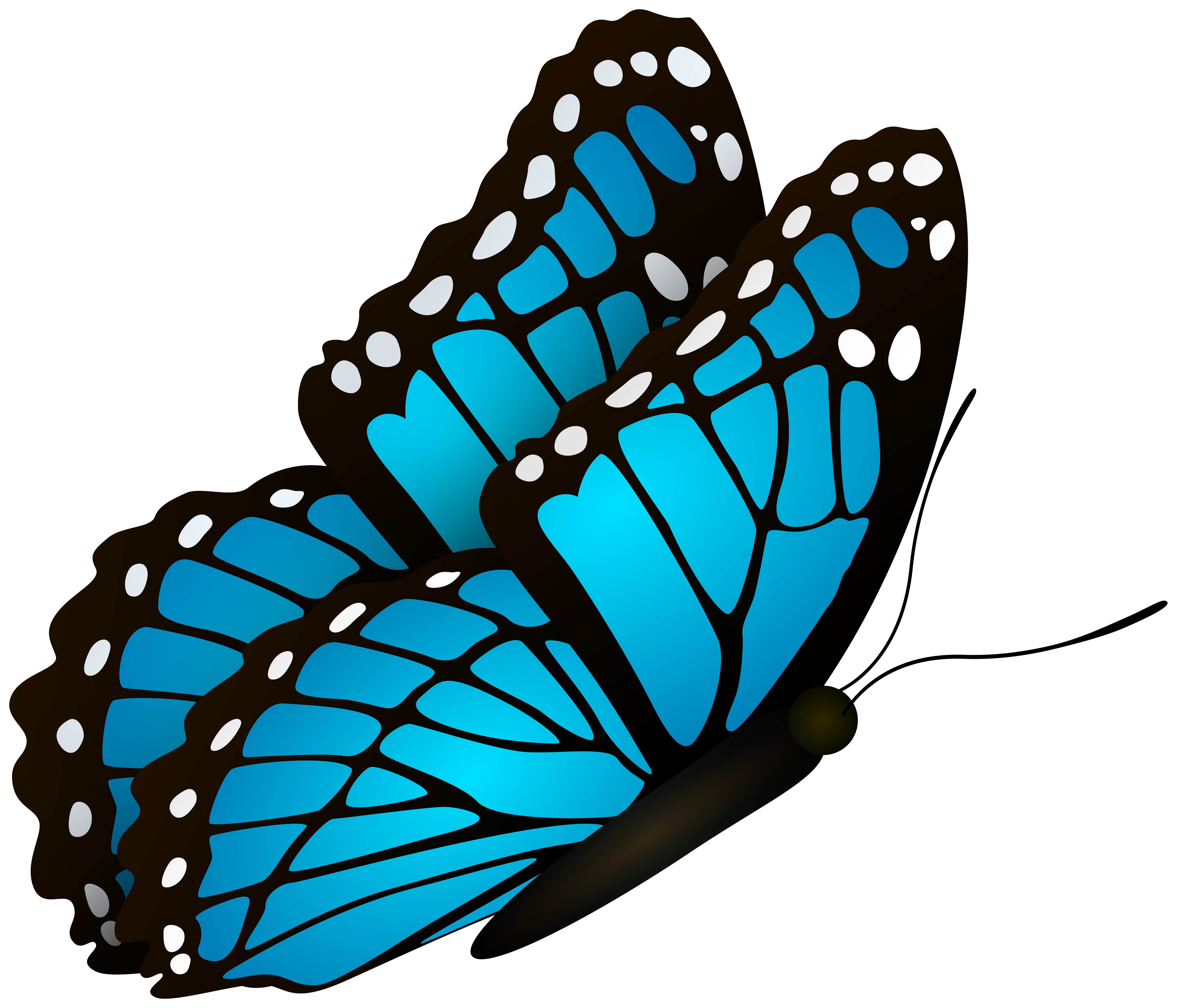 Flying Butterfly Blue Clipart Image Gallery Yopriceville High Quality Images And Transparent Png Free Clipart