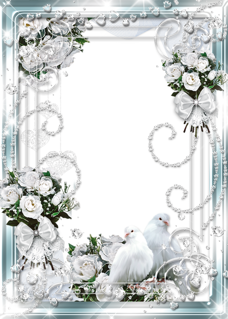 wedding doves border