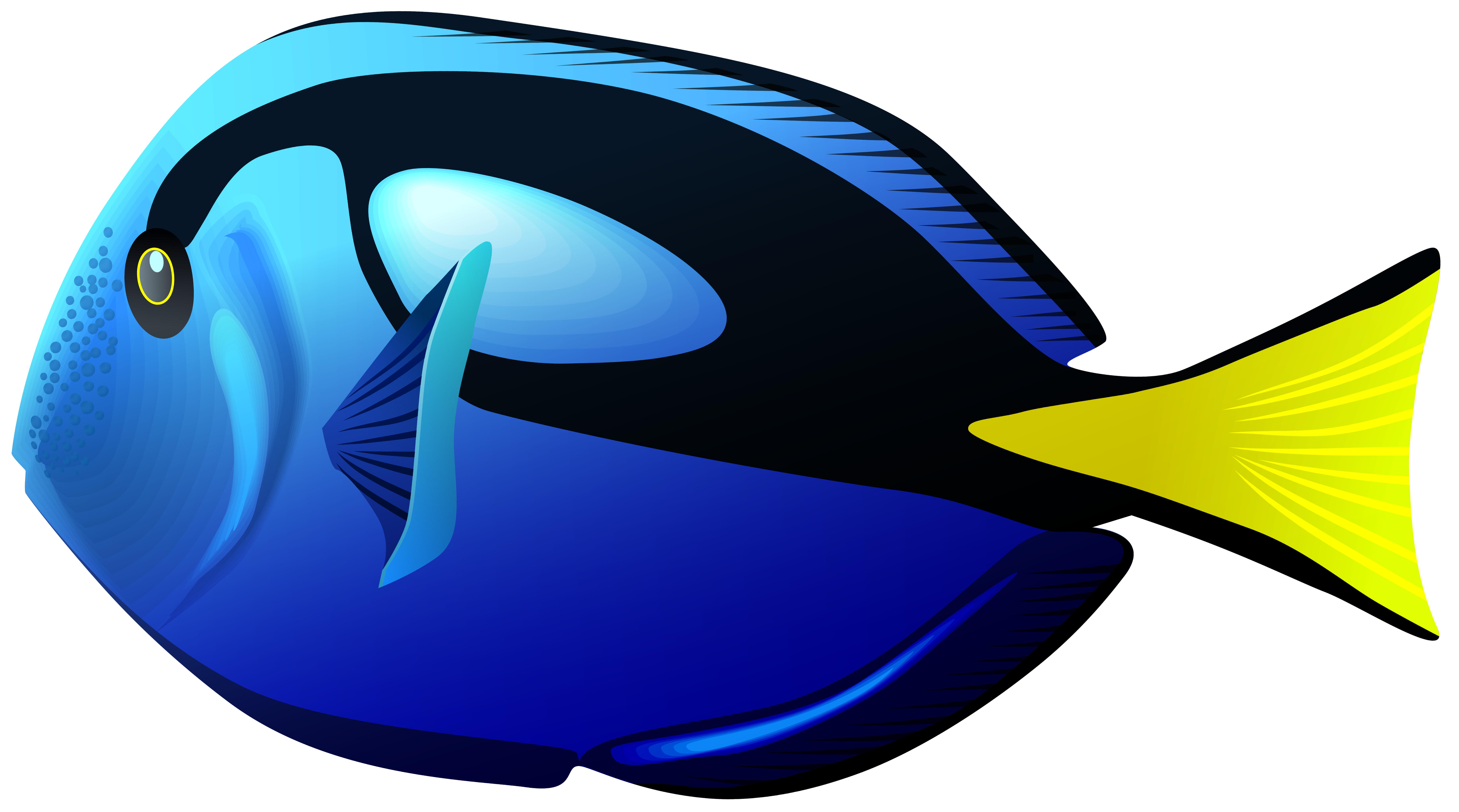Fish Basket transparent background PNG cliparts free download