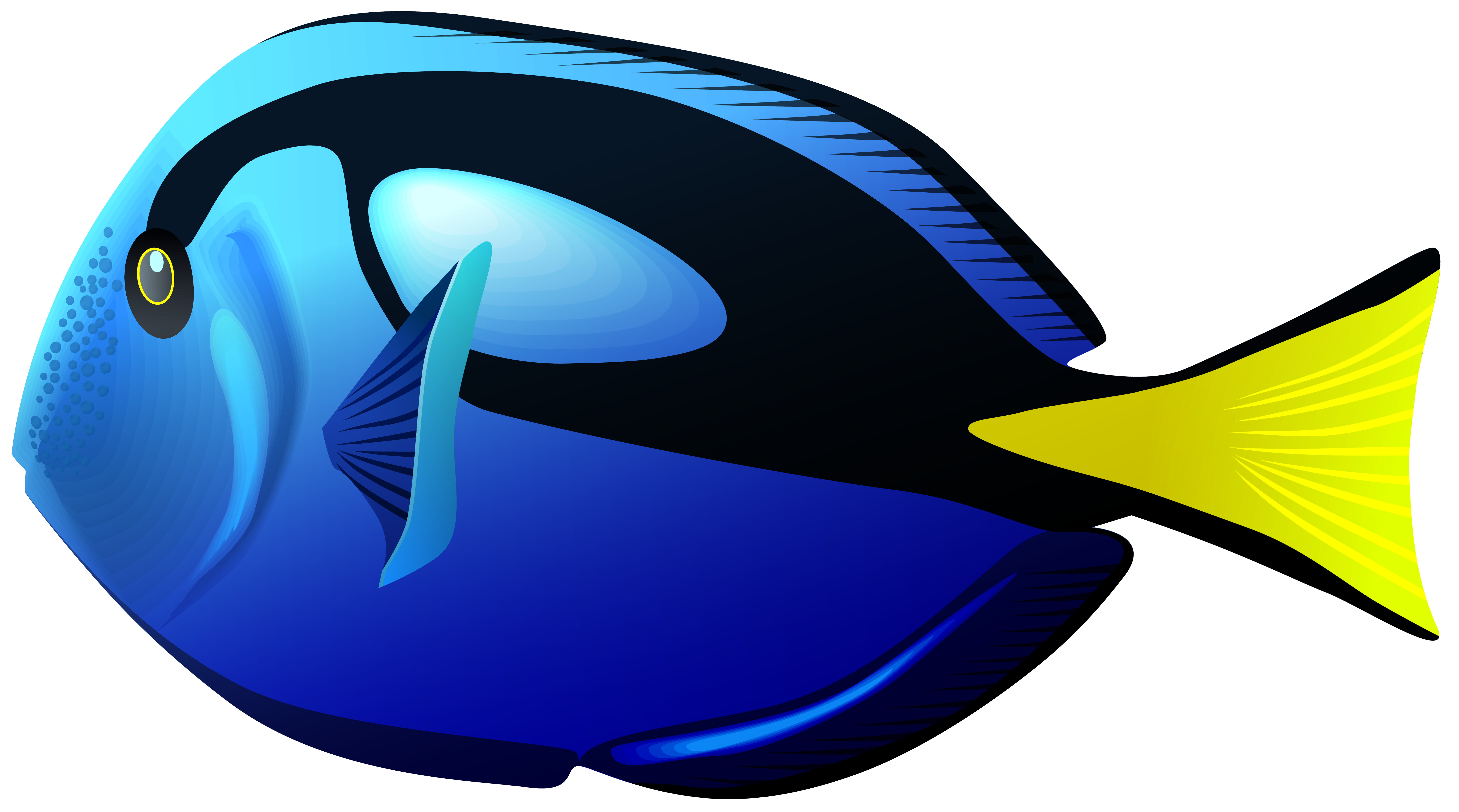 real fish png