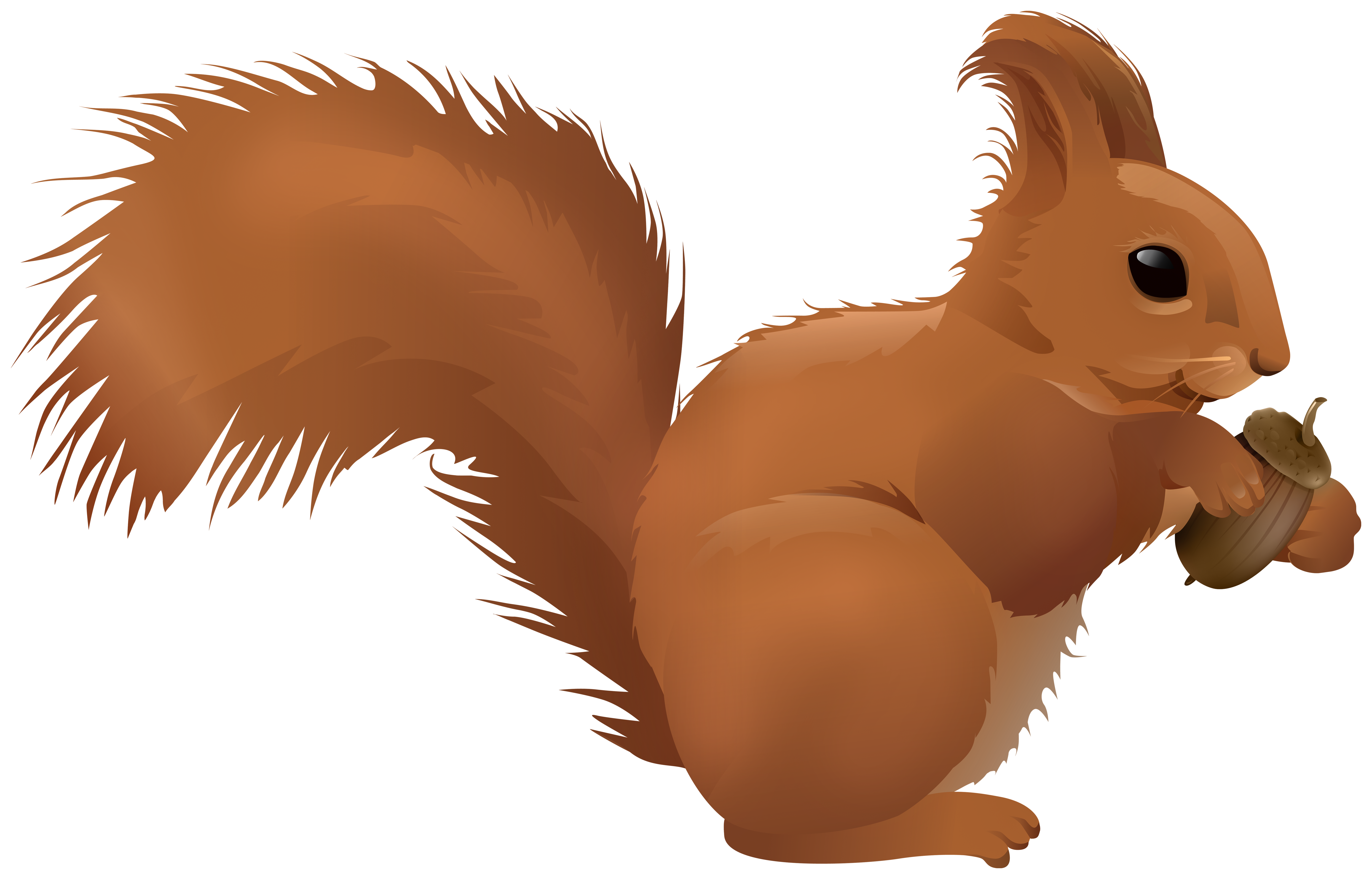 Squirrel Cartoon PNG Clipart​ | Gallery Yopriceville - High-Quality Free  Images and Transparent PNG Clipart